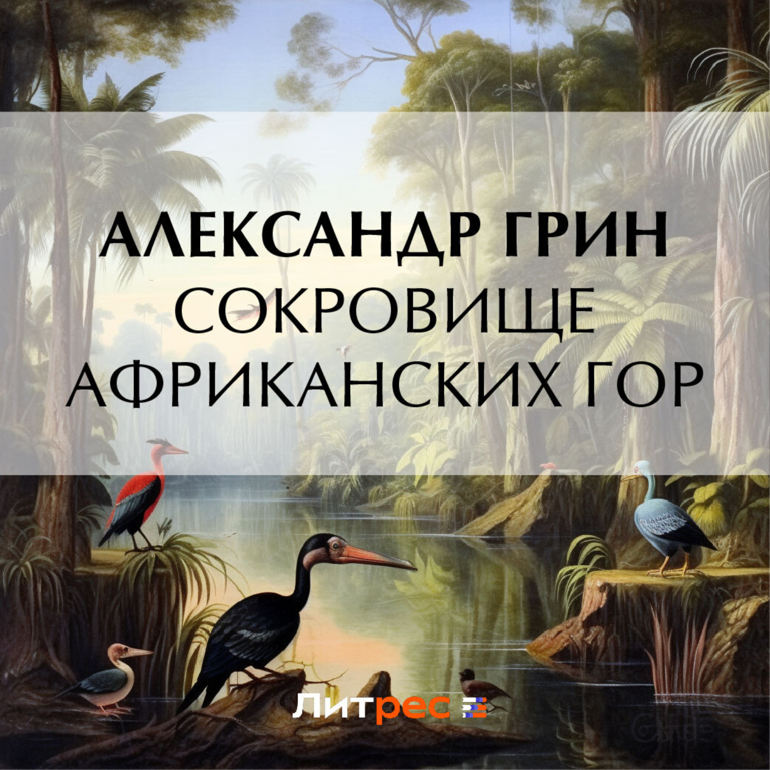 Обложка книги «Сокровище африканских гор»