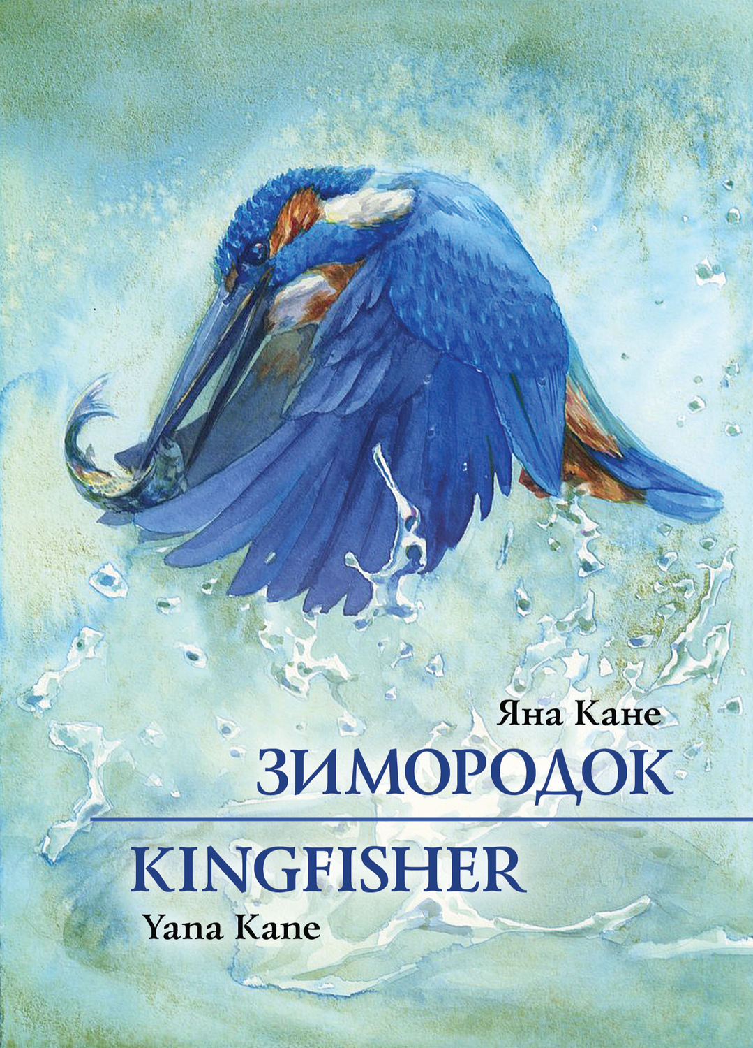 Обложка книги «Зимородок»