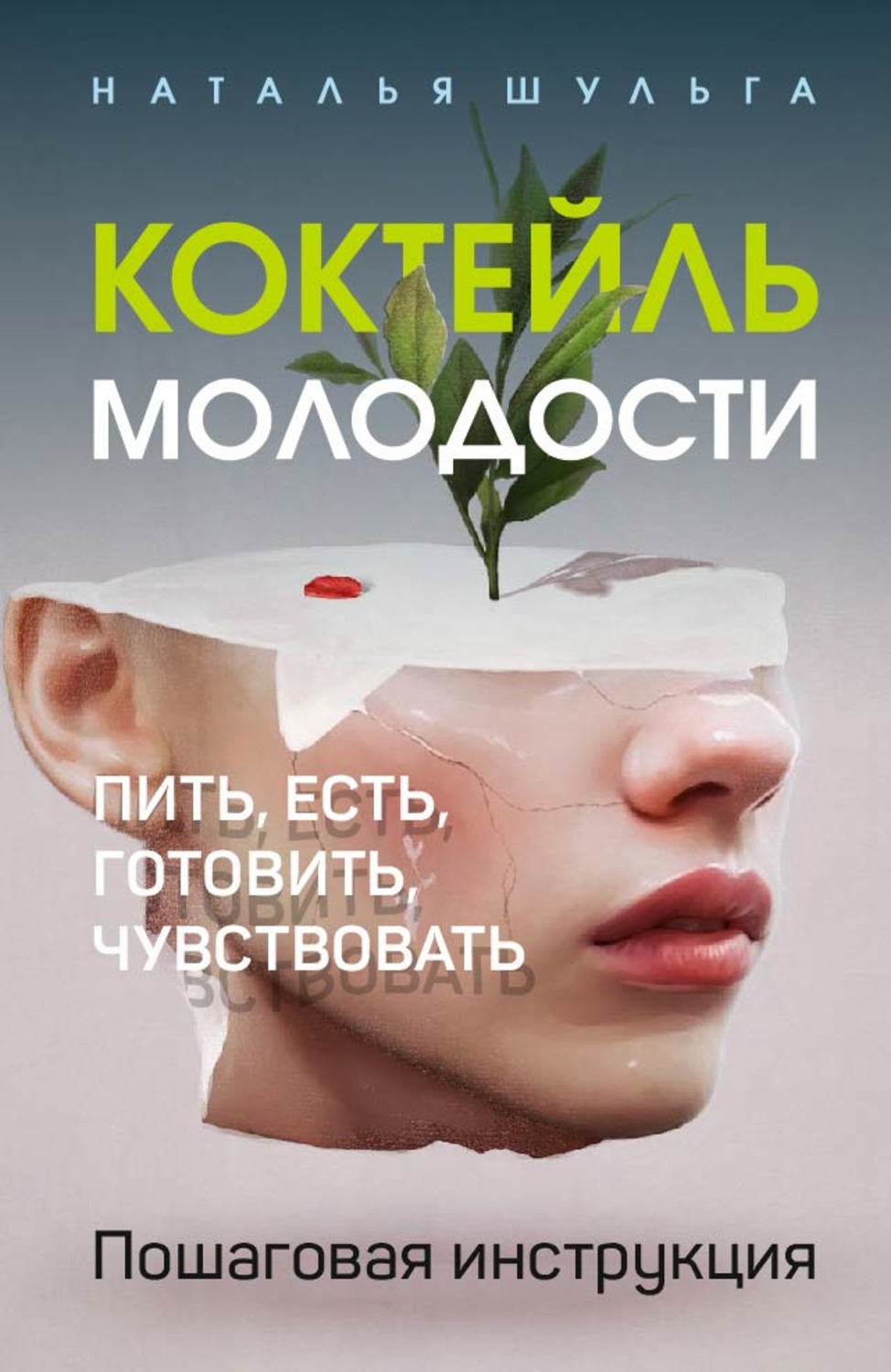 Обложка книги «Коктейль молодости. Пить, есть, готовить, чувствовать. Пошаговая инструкция»