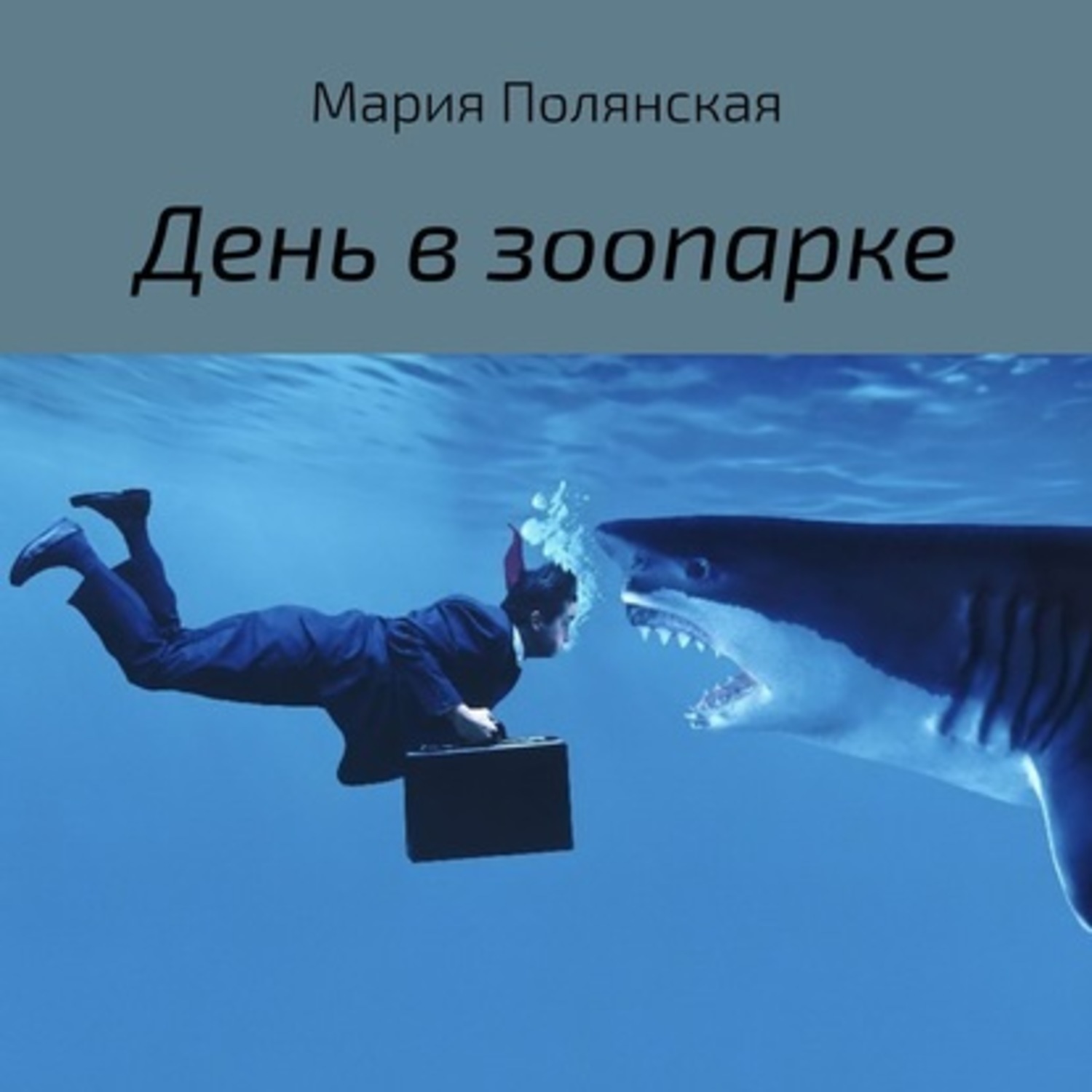 Обложка книги «День в зоопарке»