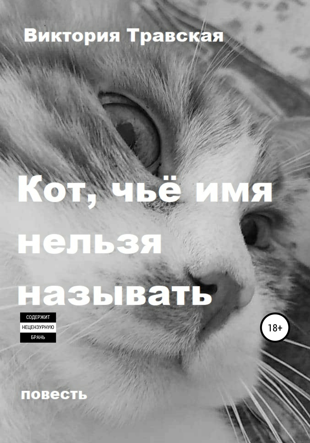 Обложка книги «Кот, чьё имя нельзя называть»