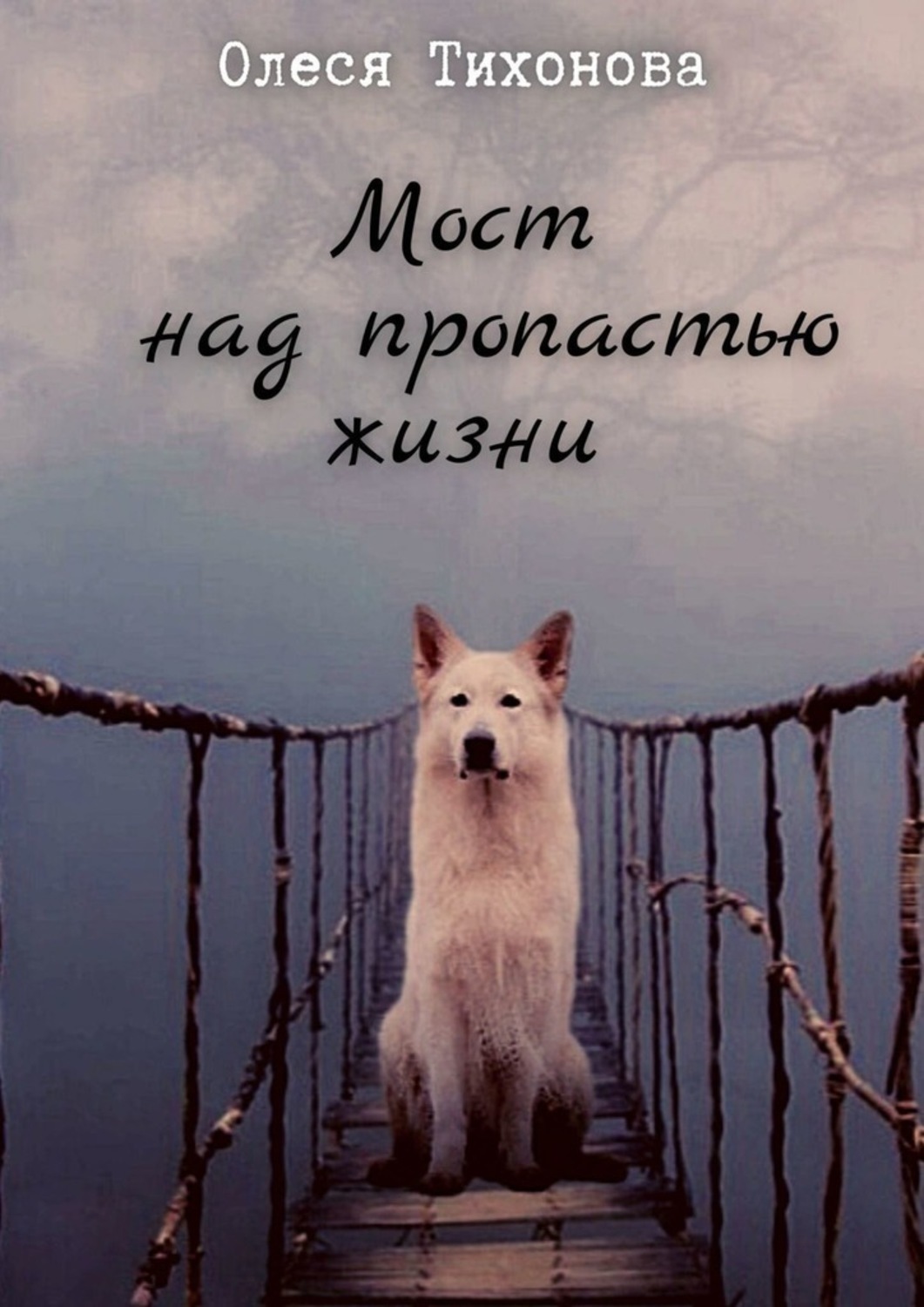 Обложка книги «Мост над пропастью жизни»