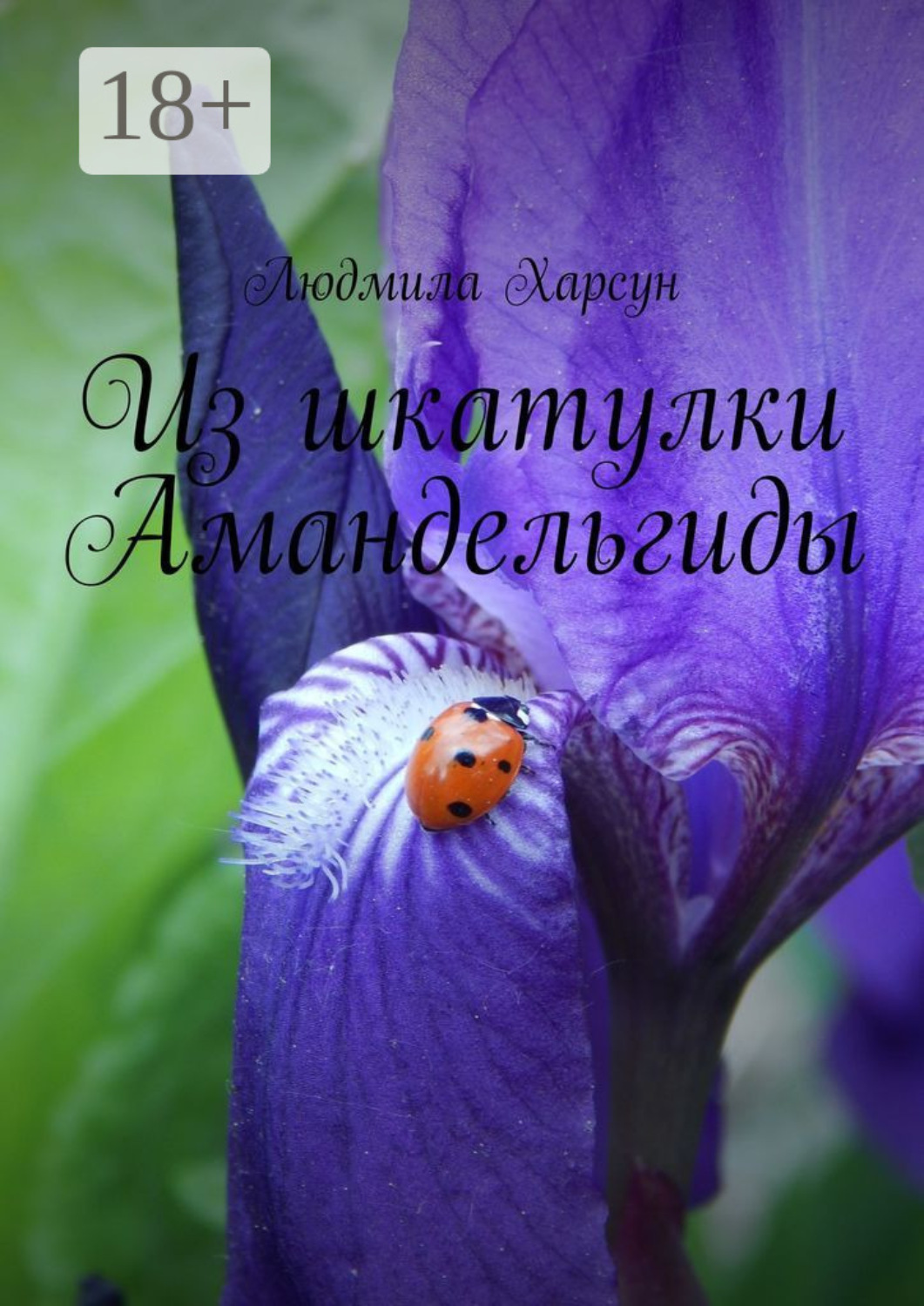 Обложка книги «Из шкатулки Амандельгиды»