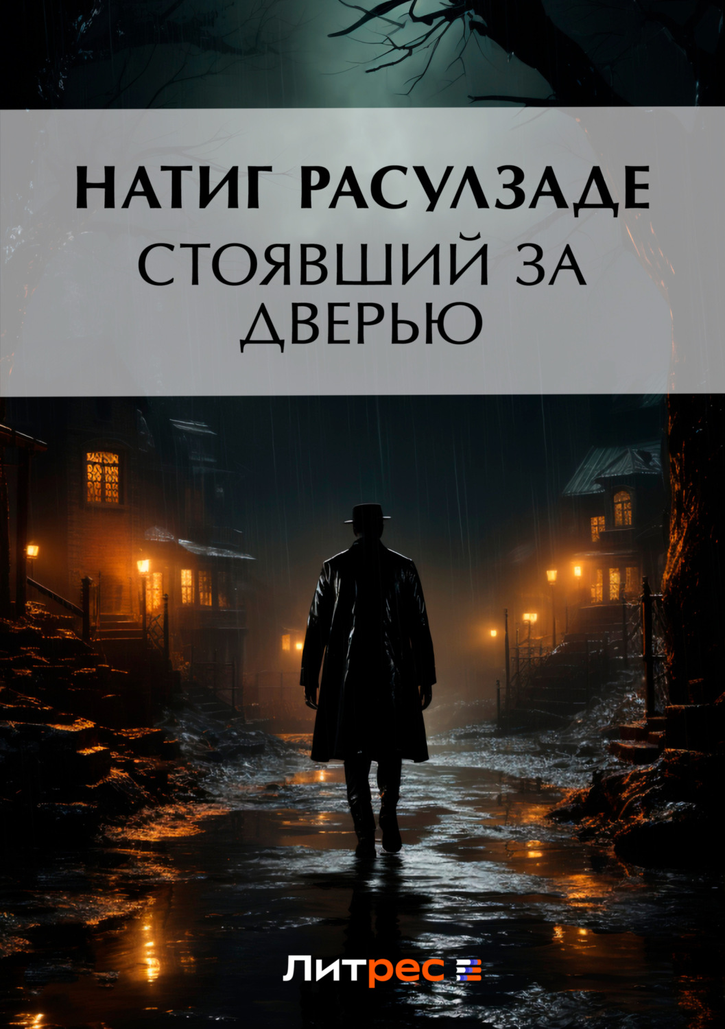 Обложка книги «Стоявший за дверью»