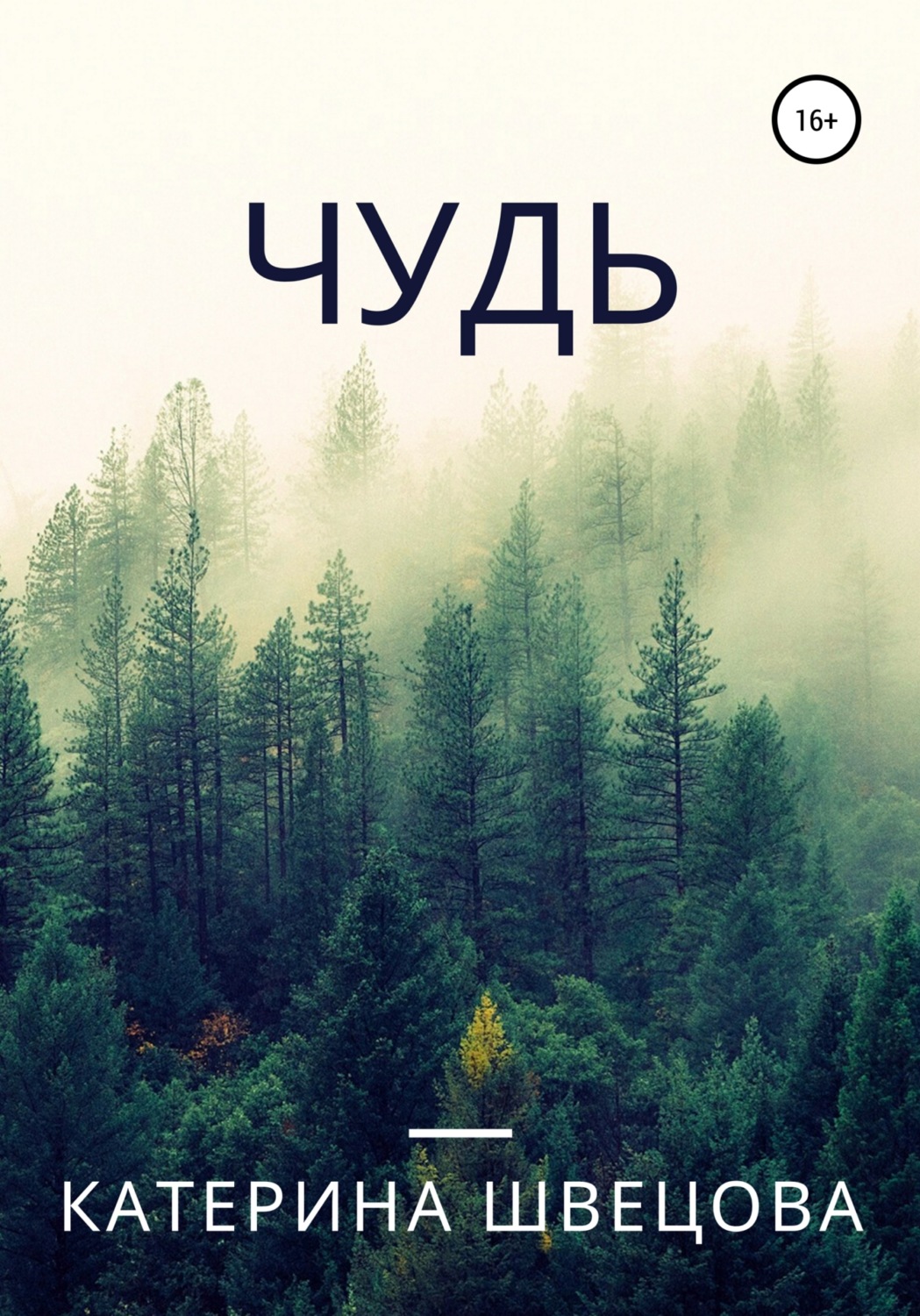 Обложка книги «Чудь»
