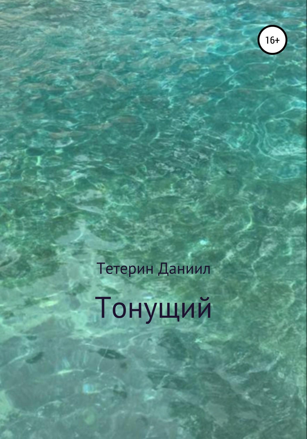 Обложка книги «Тонущий»
