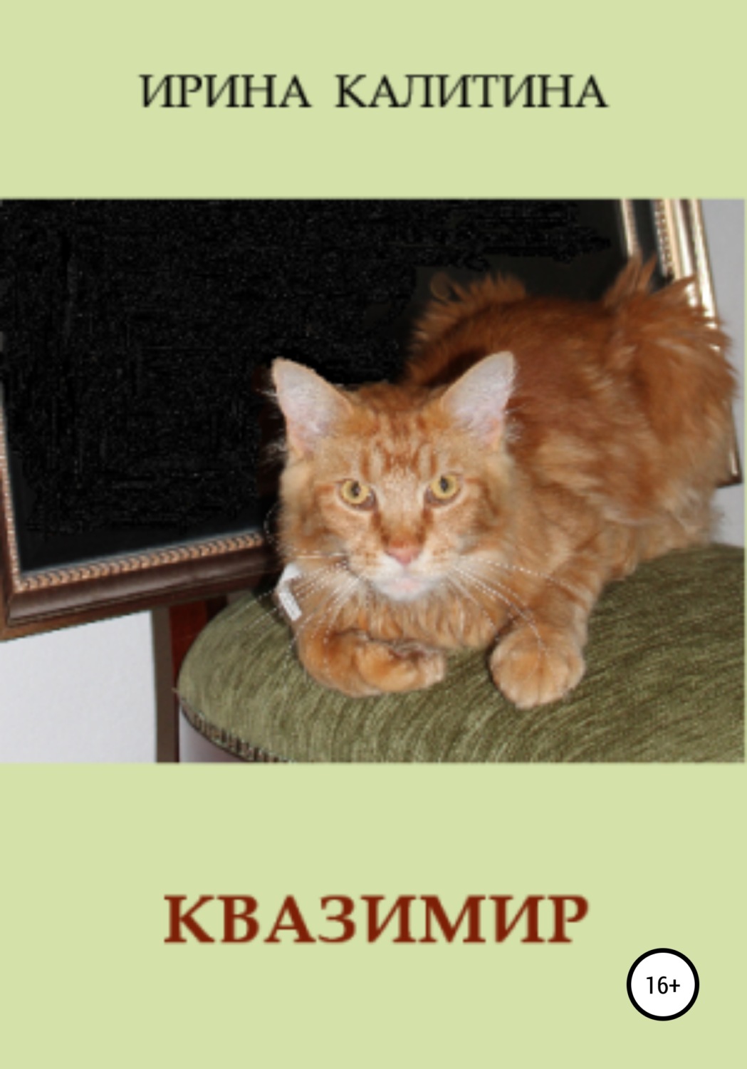 Обложка книги «Квазимир»