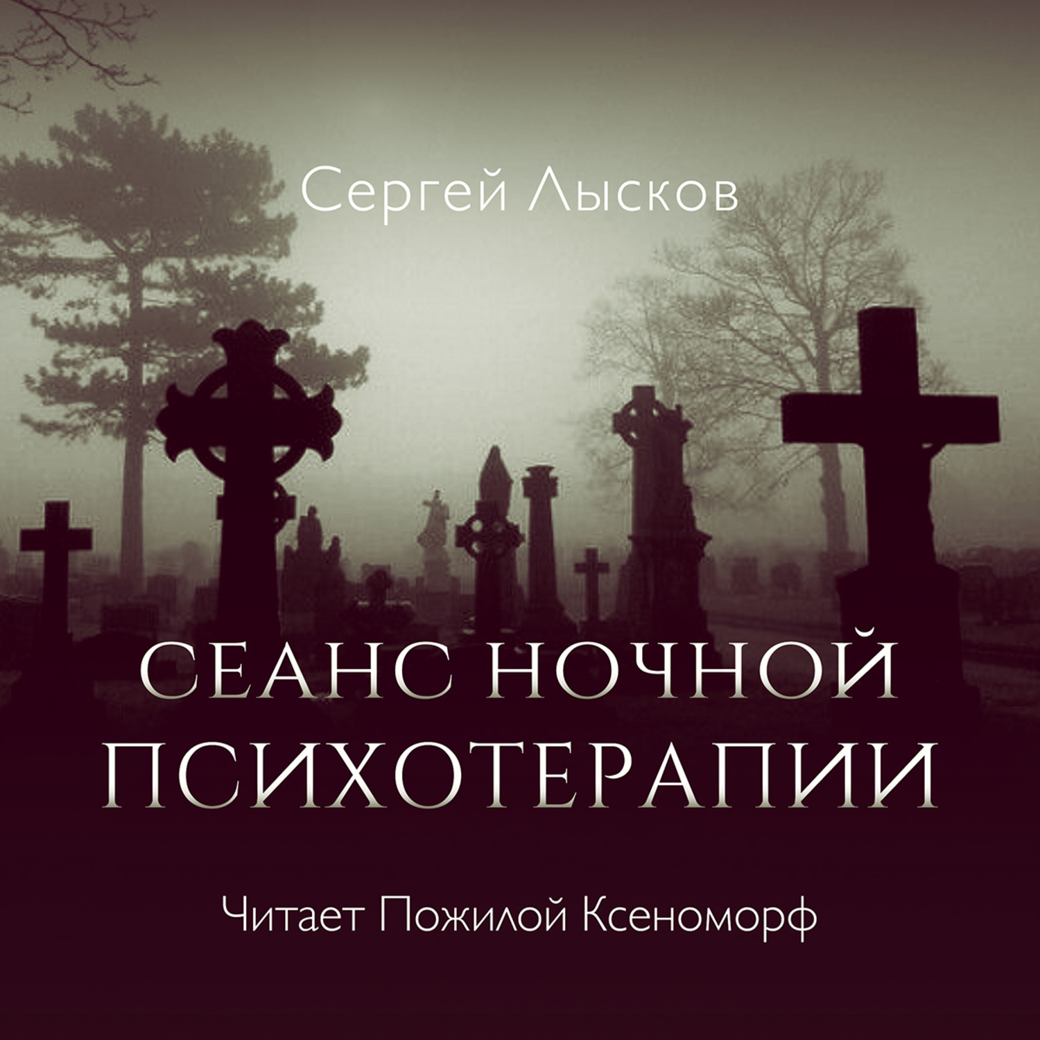 Обложка книги «Сеанс ночной психотерапии»