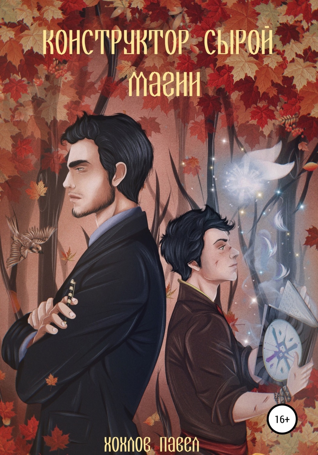 Обложка книги «Конструктор сырой магии»