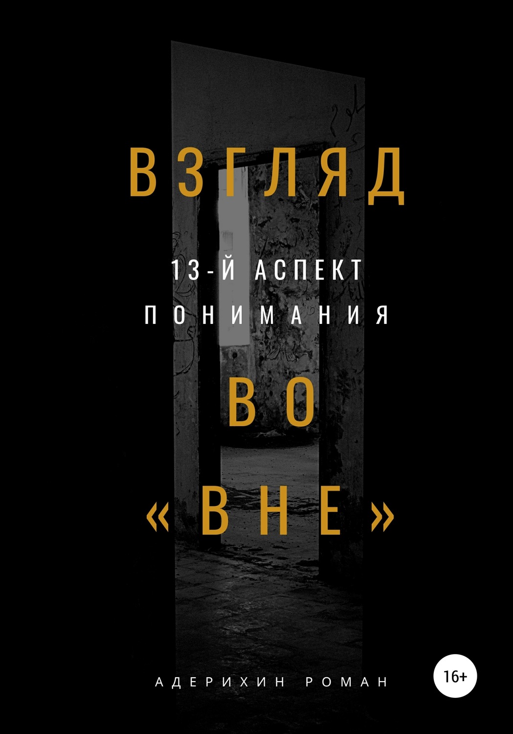 Обложка книги «Взгляд во вне. 13-й аспект понимания»