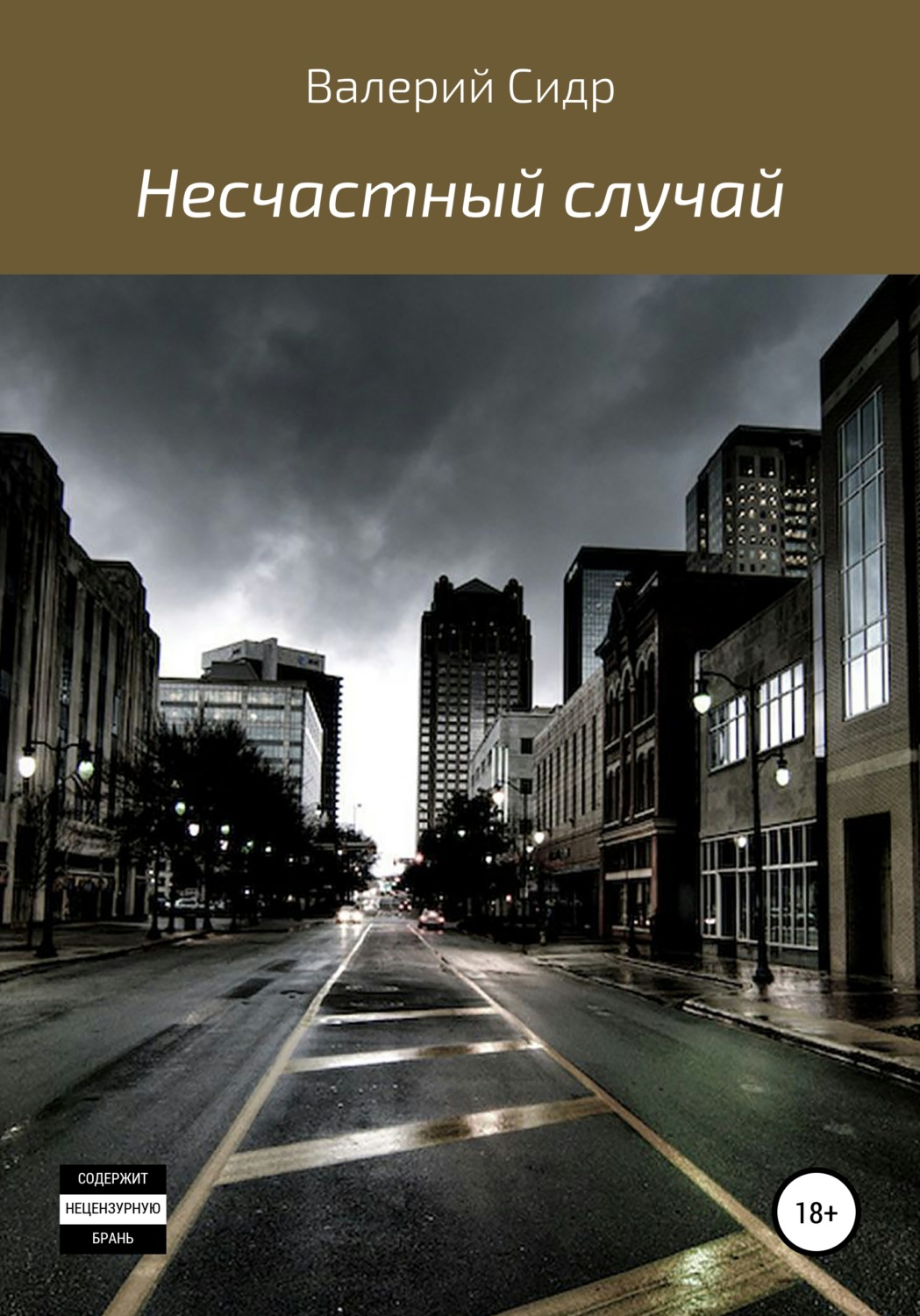 Обложка книги «Несчастный случай»