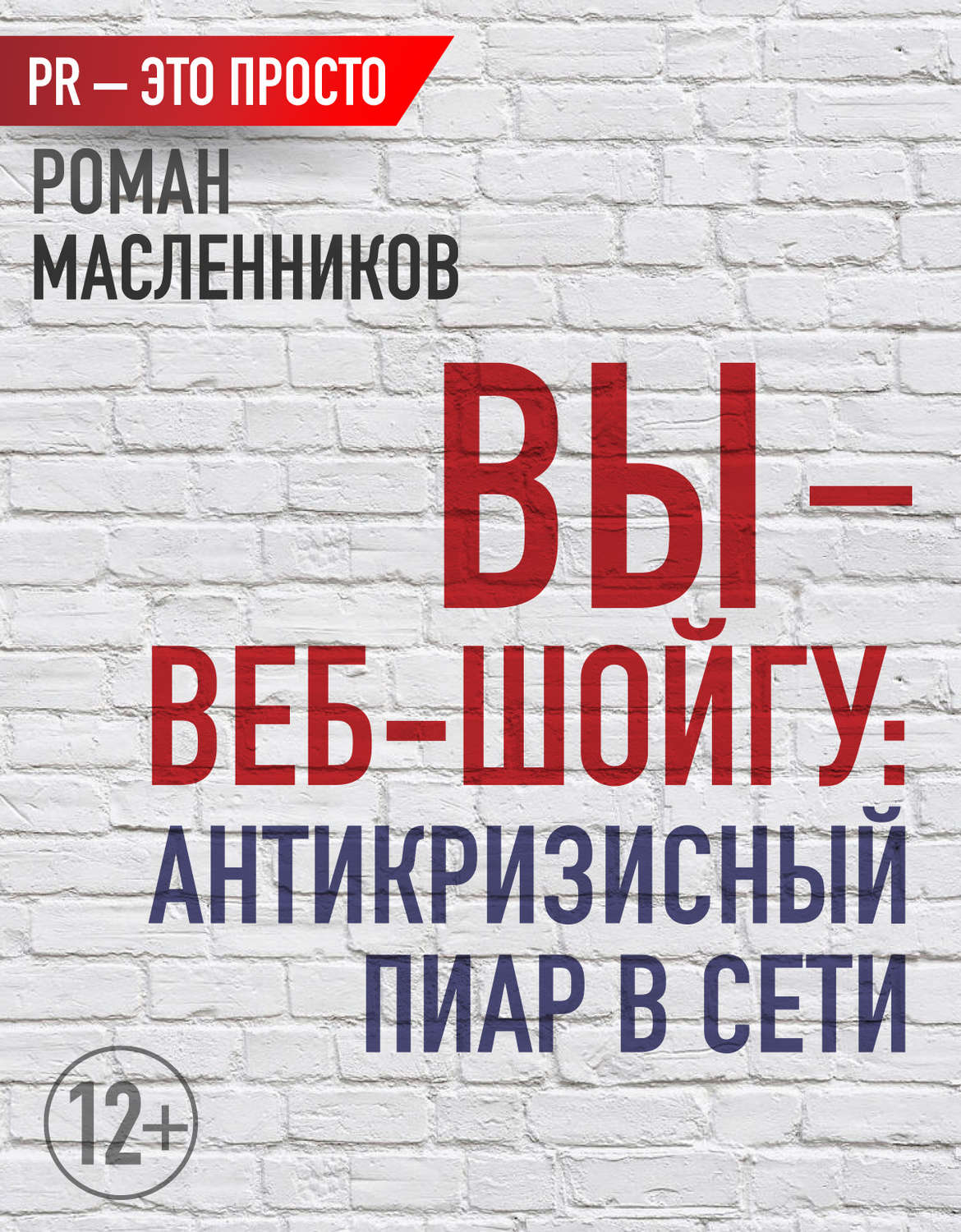 Обложка книги «Вы – веб-Шойгу: Антикризисный пиар в Сети»