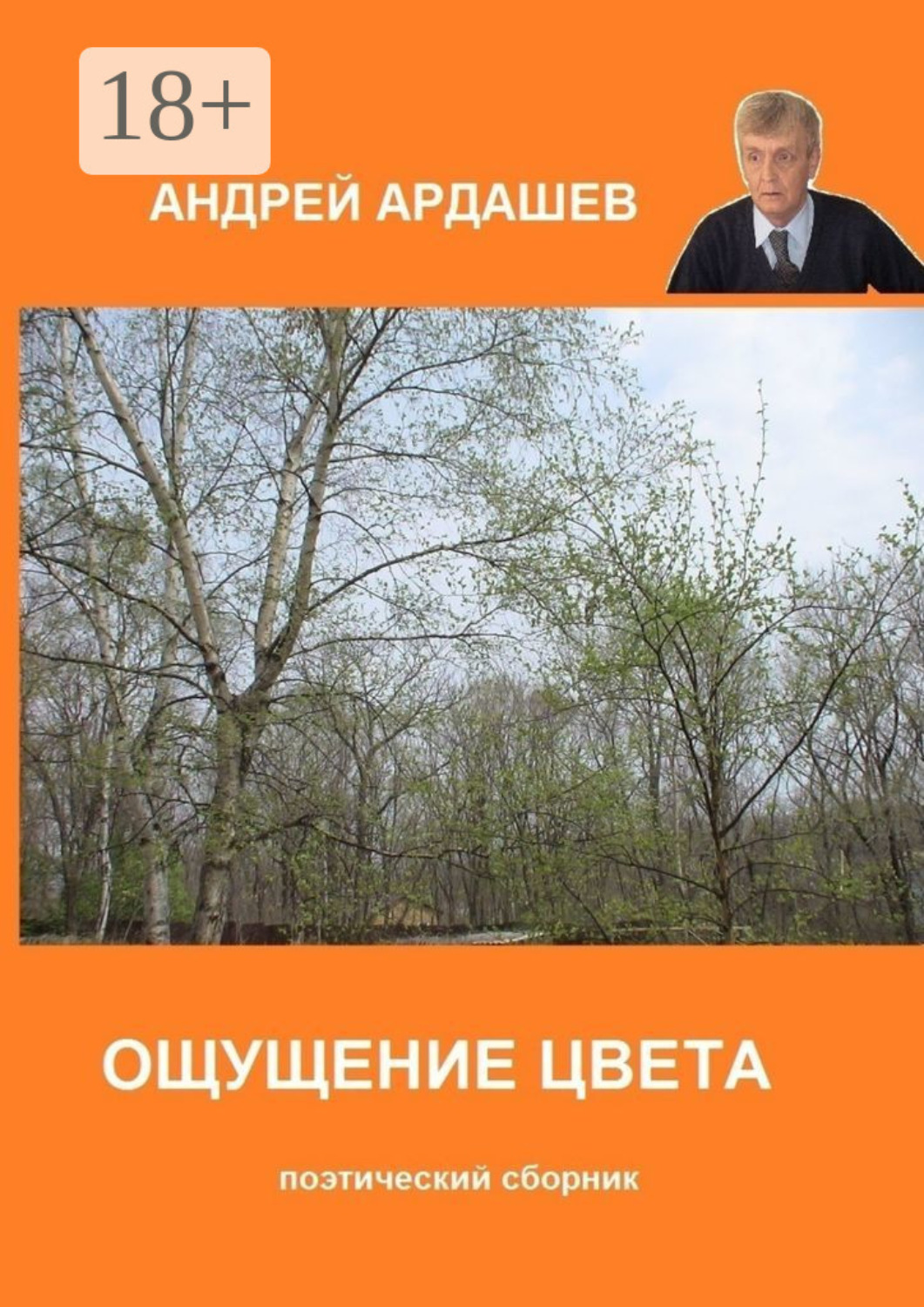 Обложка книги «Ощущение цвета. Поэтический сборник»
