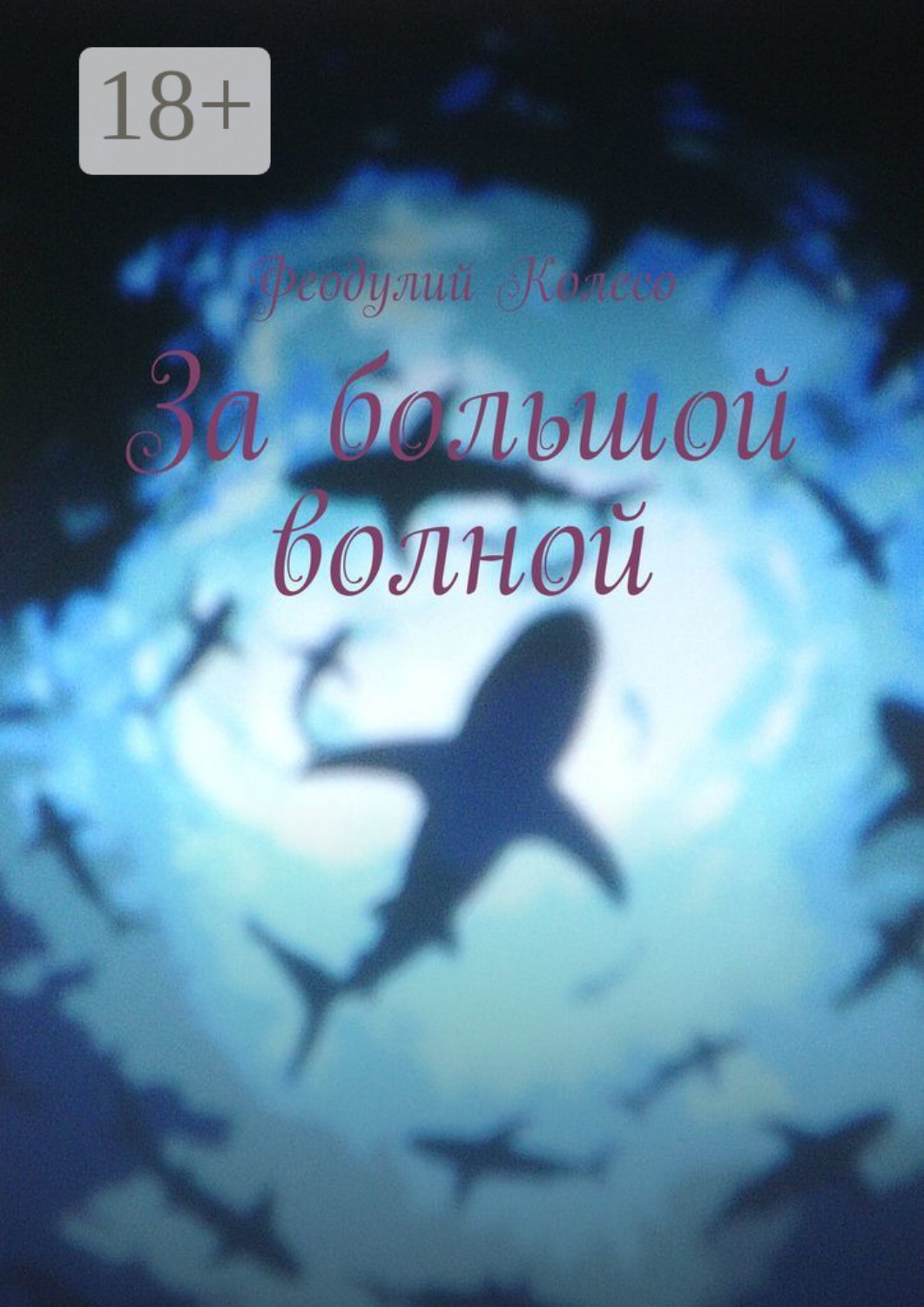 Обложка книги «За большой волной»