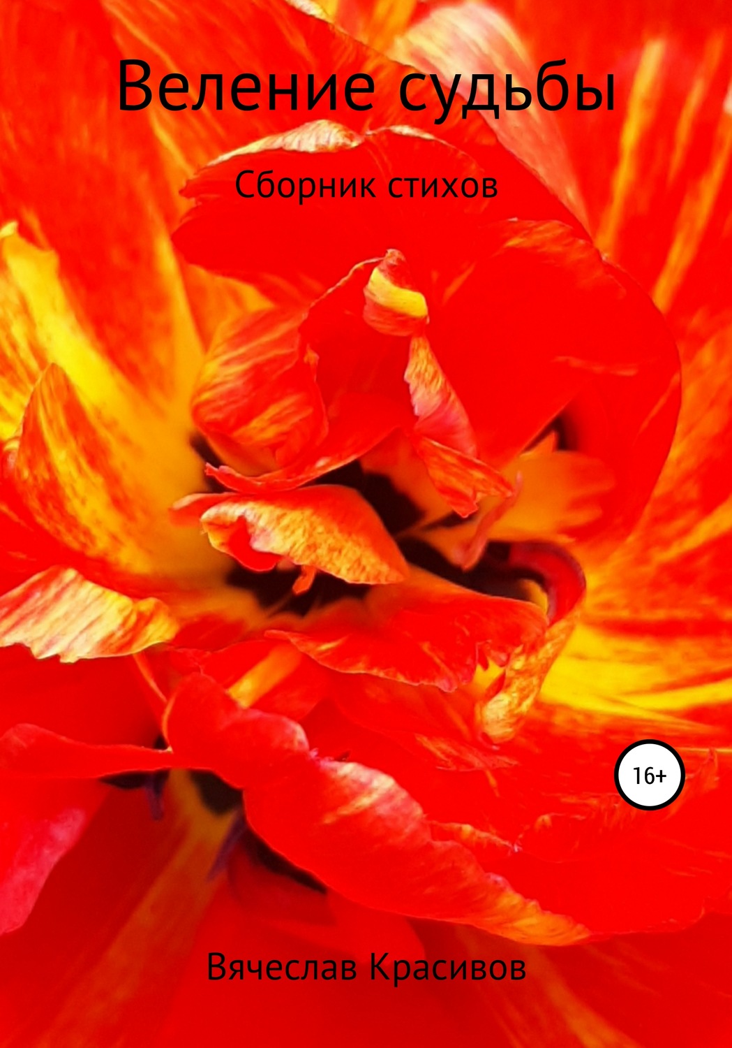 Обложка книги «Веление судьбы»