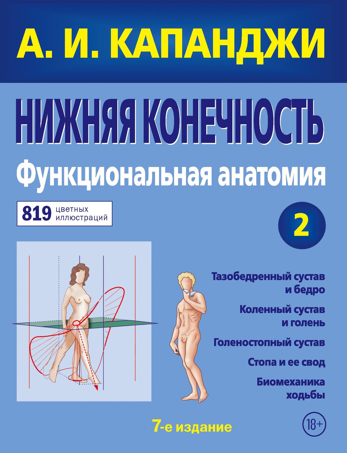 Обложка книги «Нижняя конечность. Функциональная анатомия»