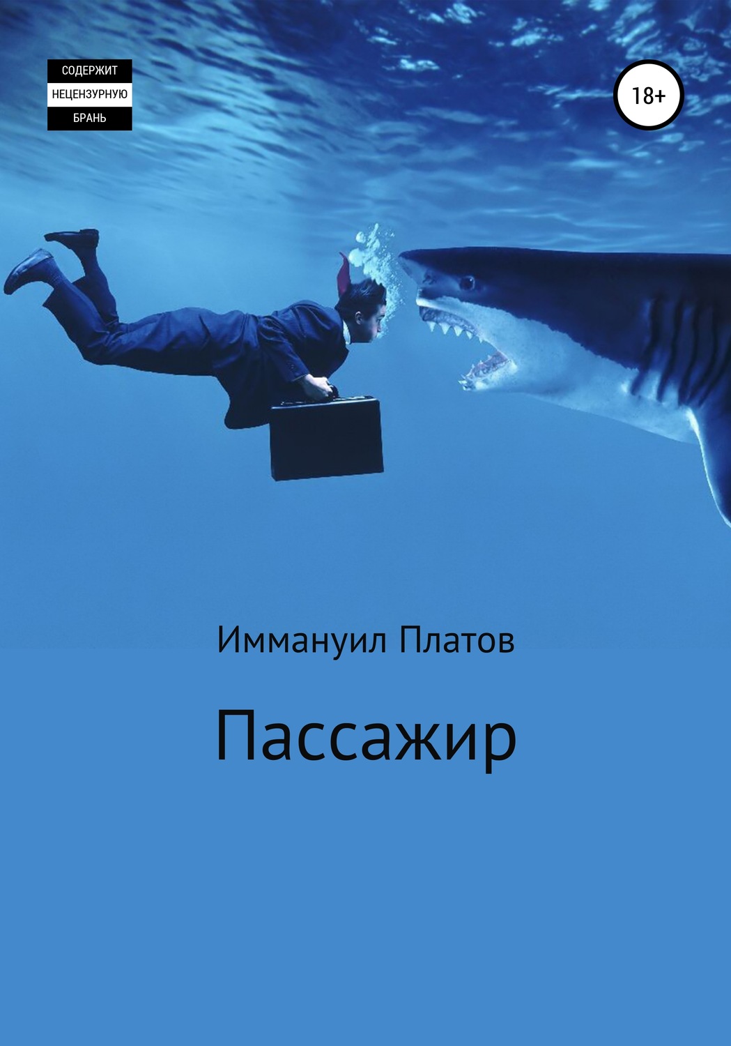 Обложка книги «Пассажир»