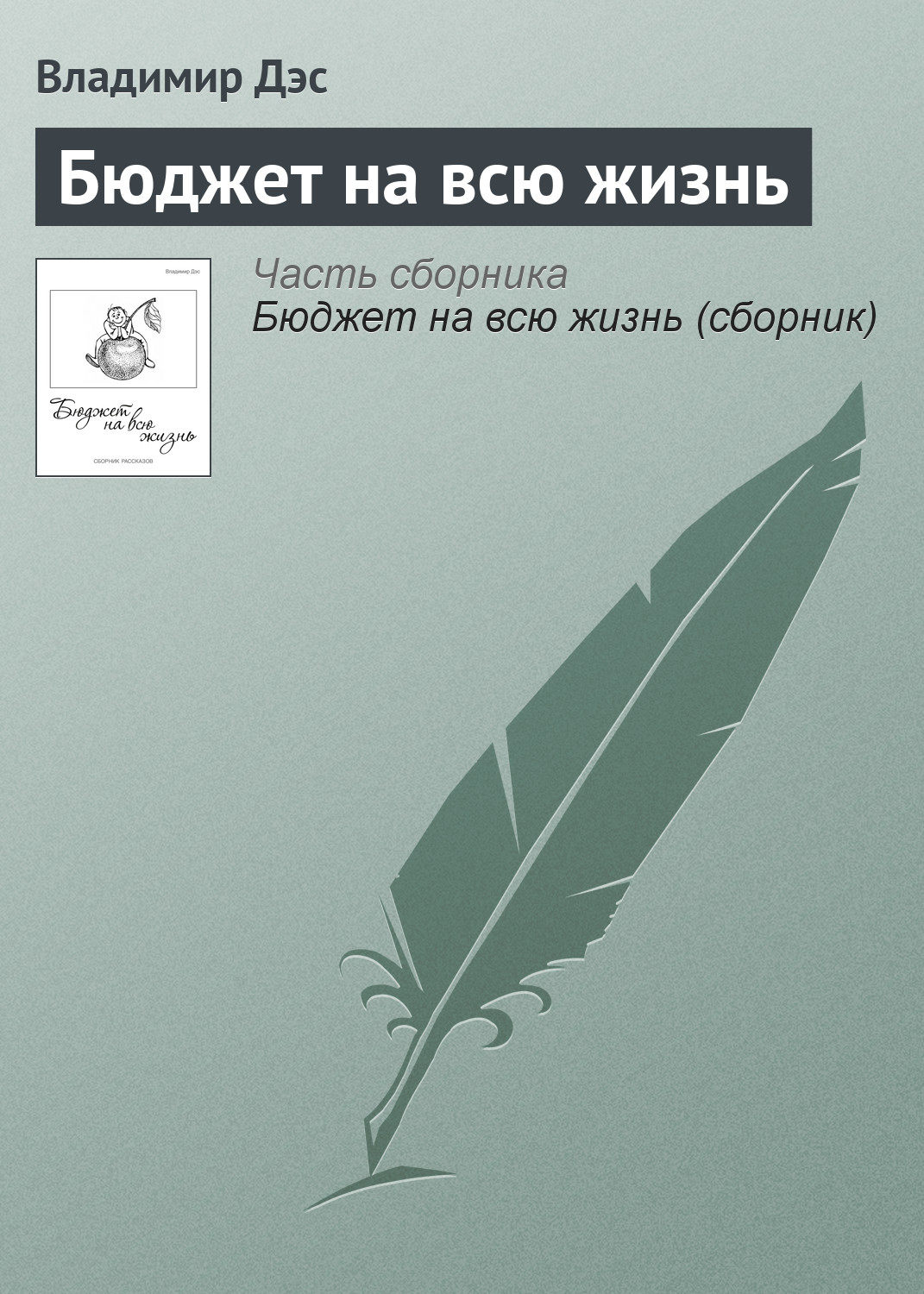 Обложка книги «Бюджет на всю жизнь»