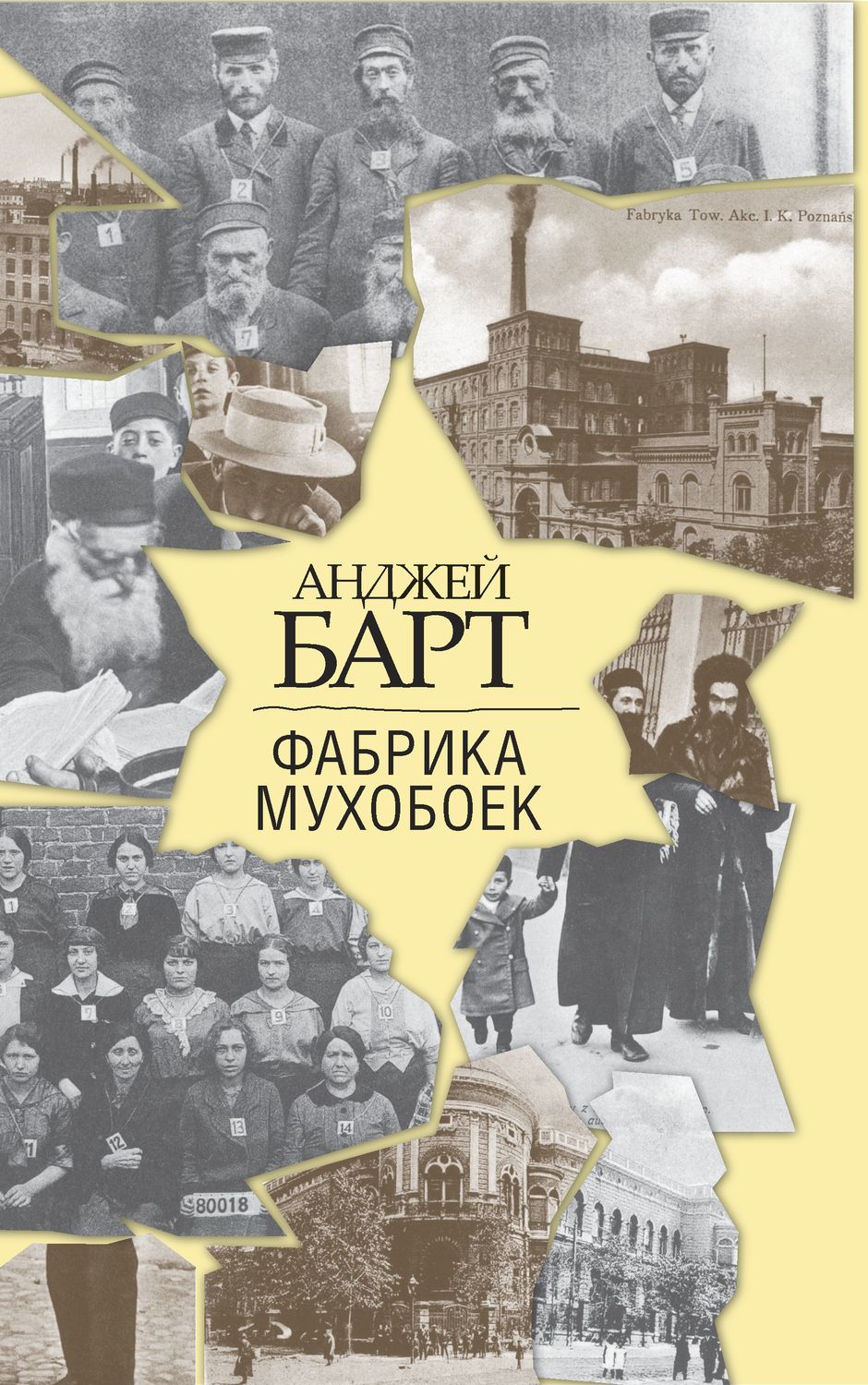 Обложка книги «Фабрика мухобоек»