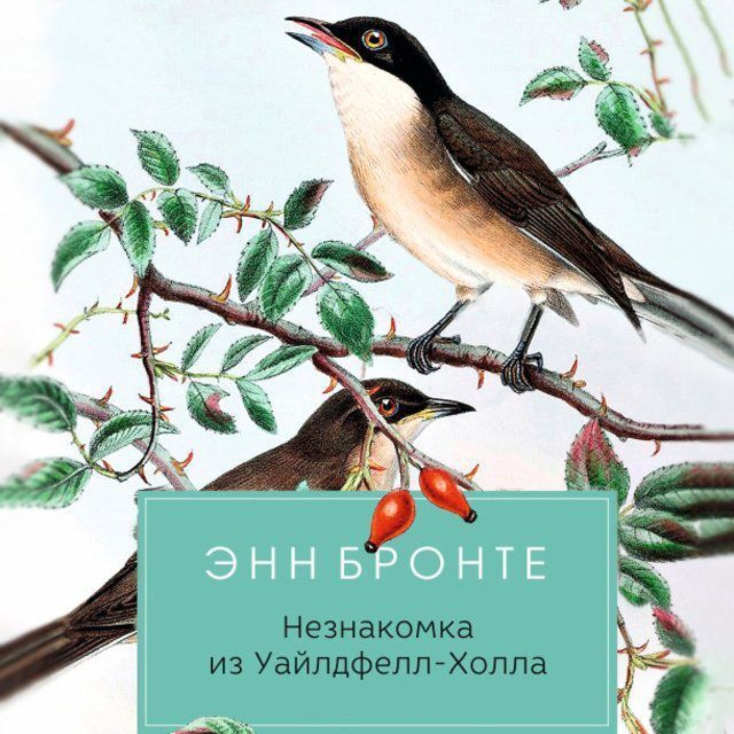 Обложка книги «Незнакомка из Уайлдфелл-Холла»