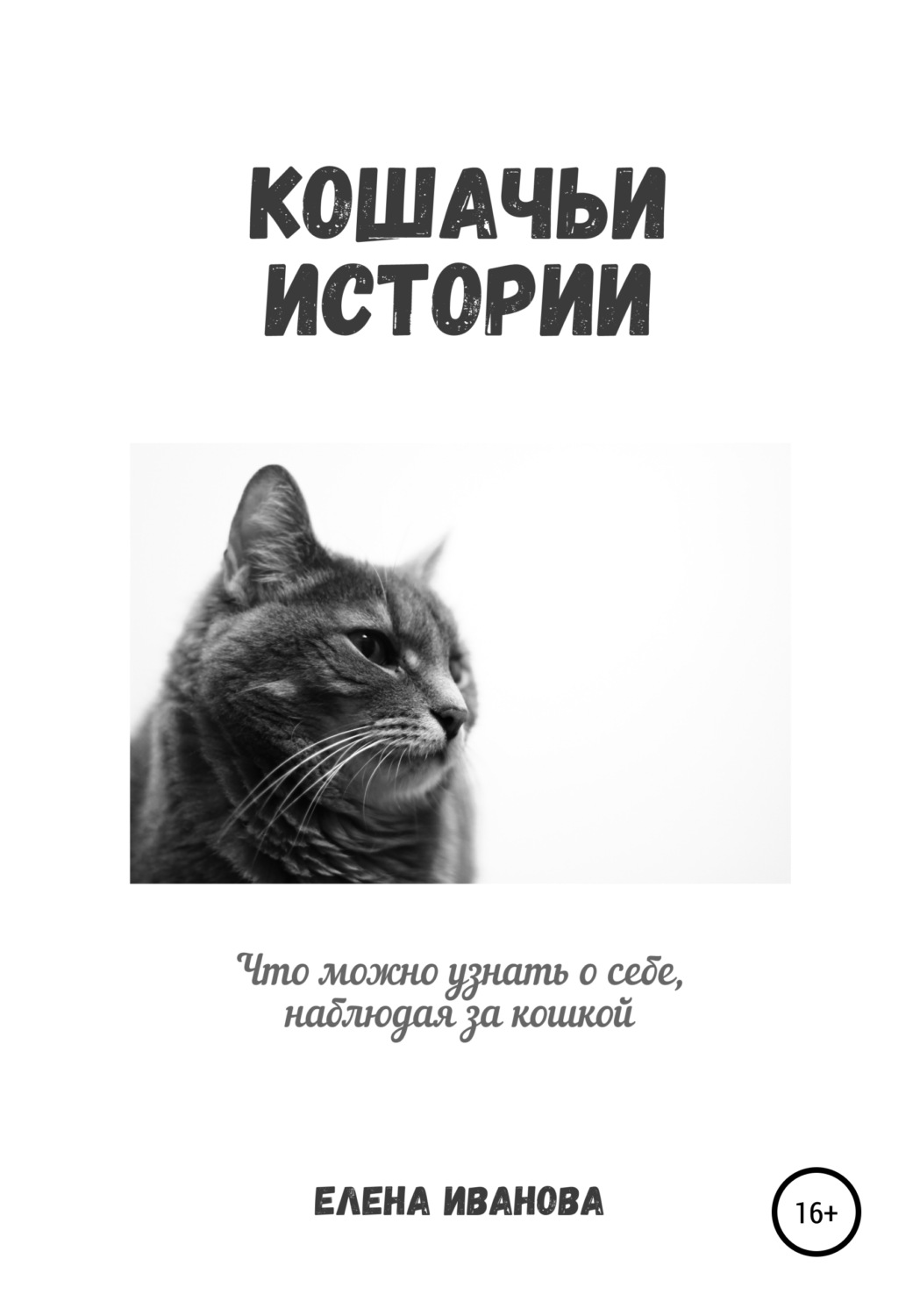 Обложка книги «Кошачьи истории»