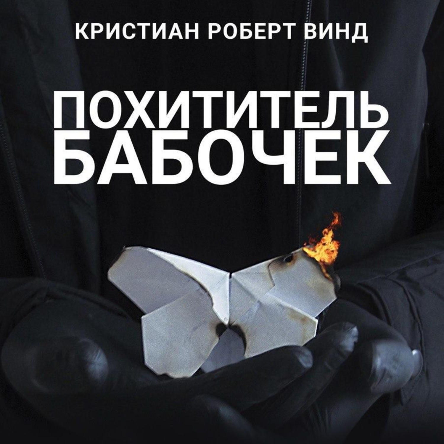 Обложка книги «Похититель бабочек»