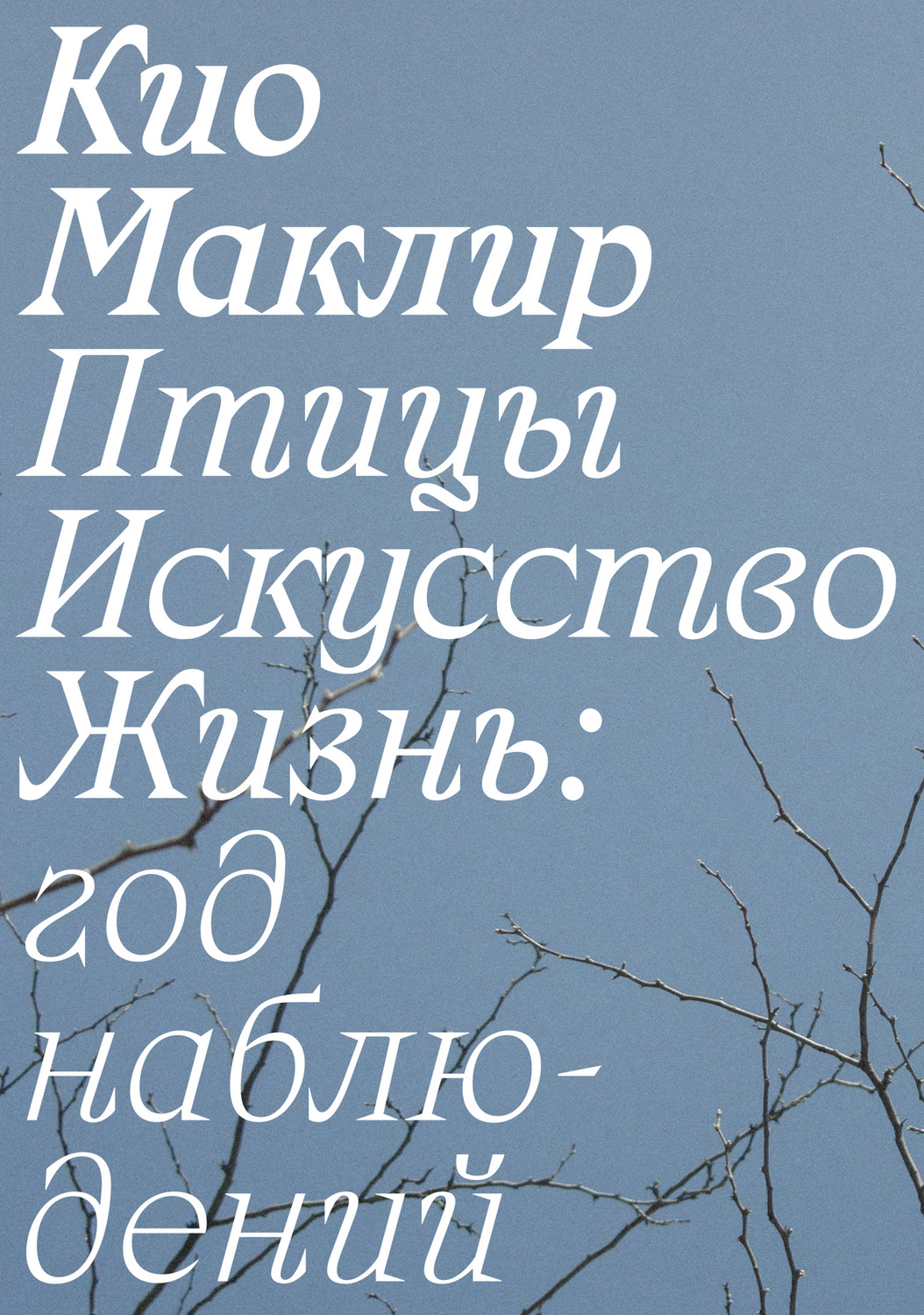 Обложка книги «Птицы, искусство, жизнь: год наблюдений»