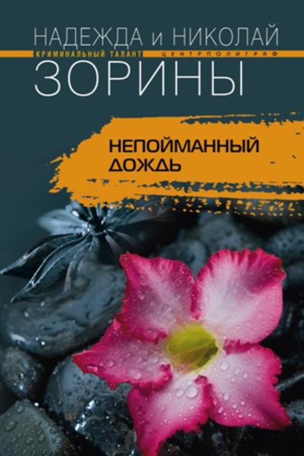 Обложка книги «Непойманный дождь»