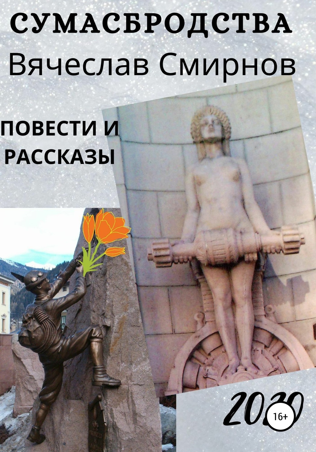 Обложка книги «Сумасбродства»