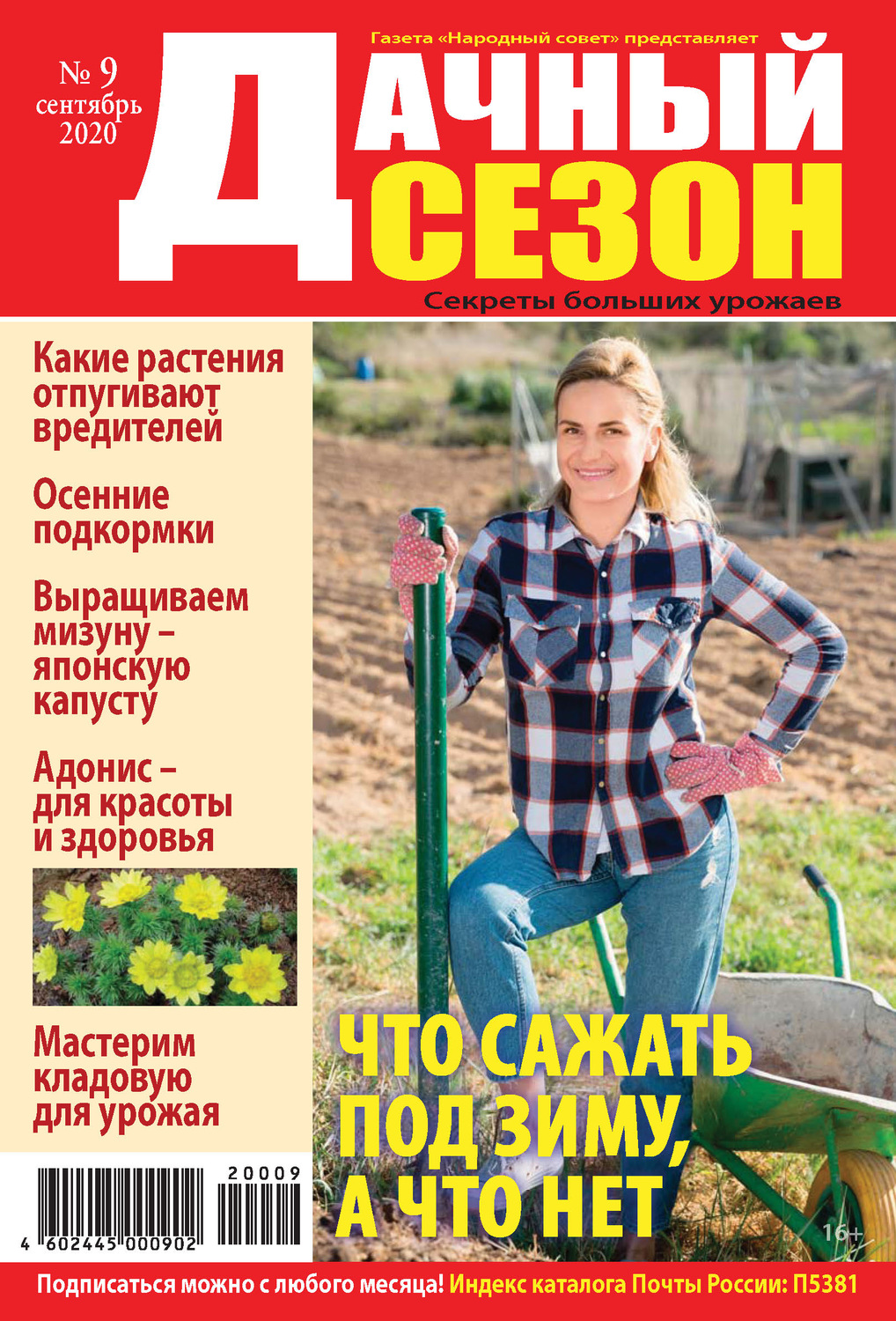Обложка книги «Дачный сезон №09/2020»