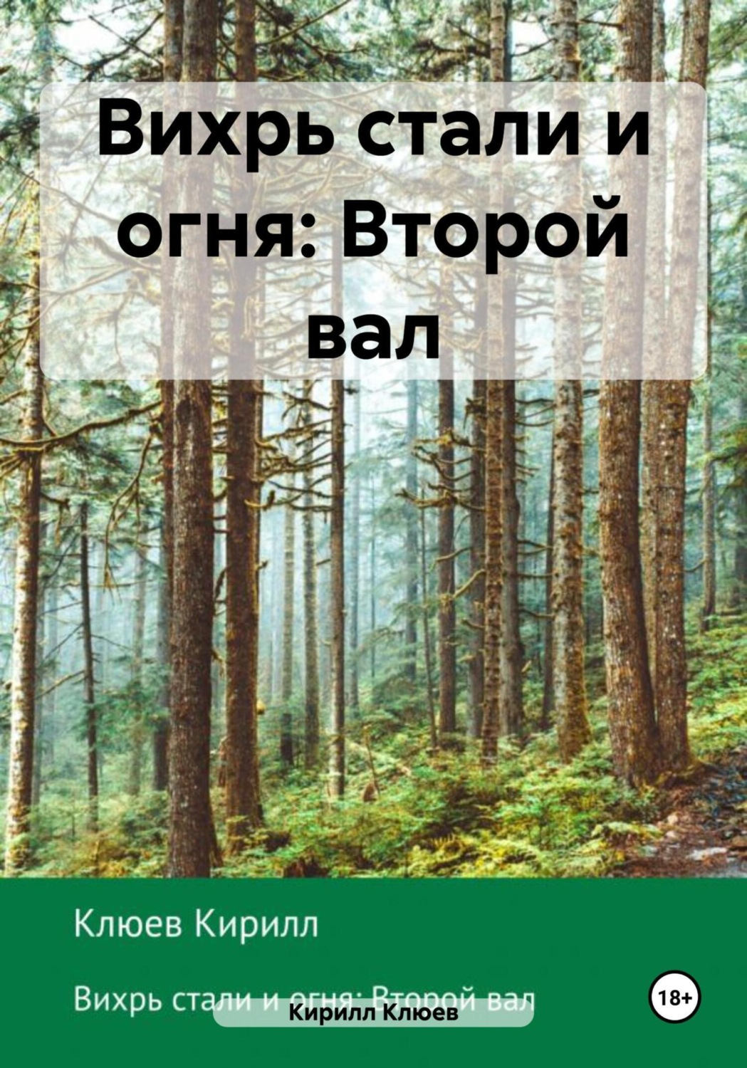 Обложка книги «Вихрь стали и огня: Второй вал»