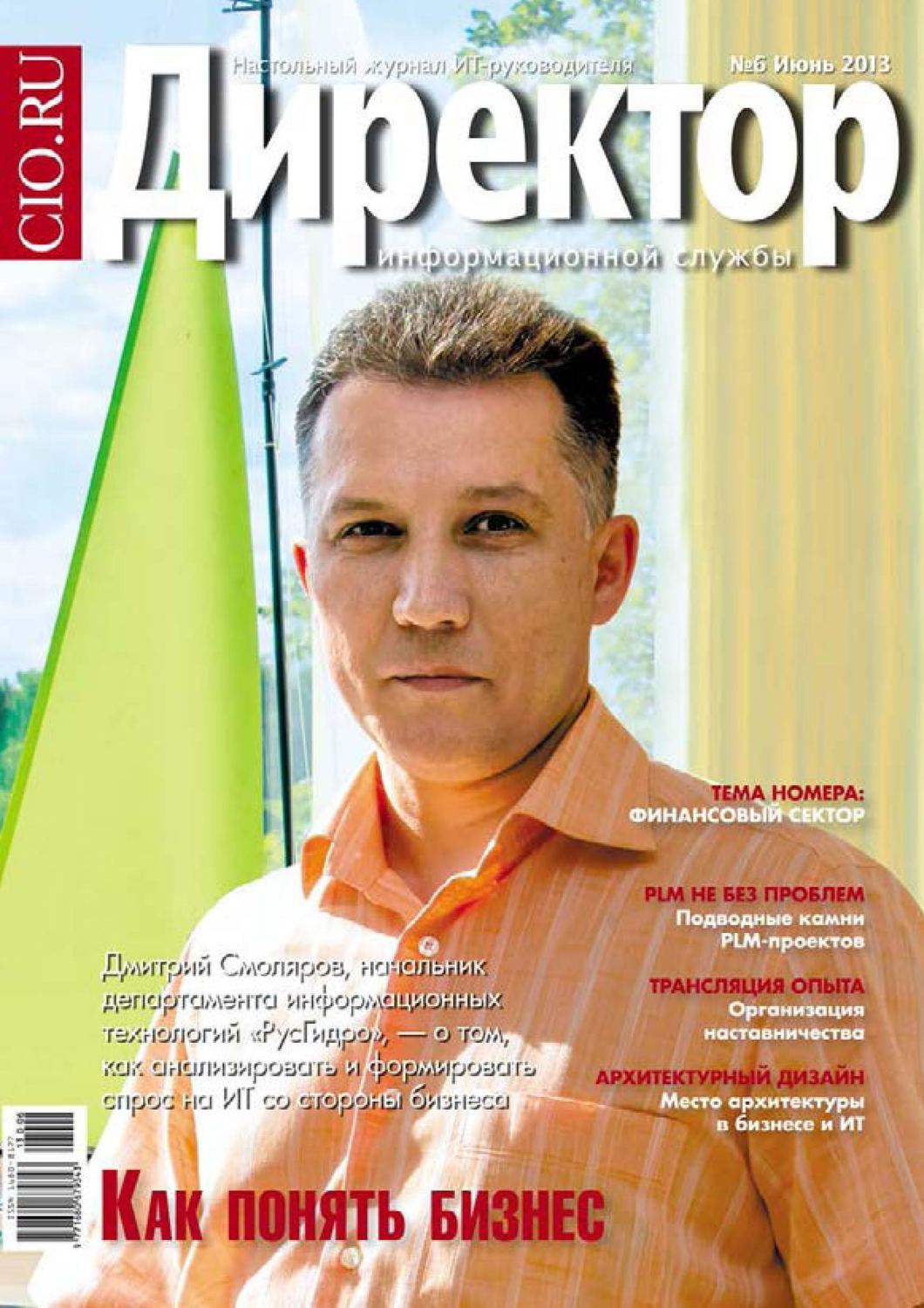 Обложка книги «Директор информационной службы №06/2013»