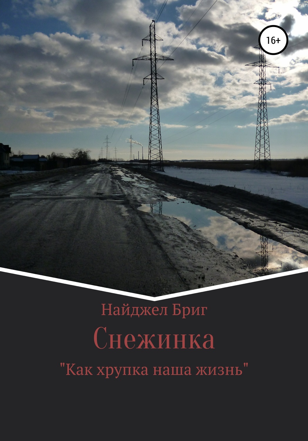 Обложка книги «Снежинка»