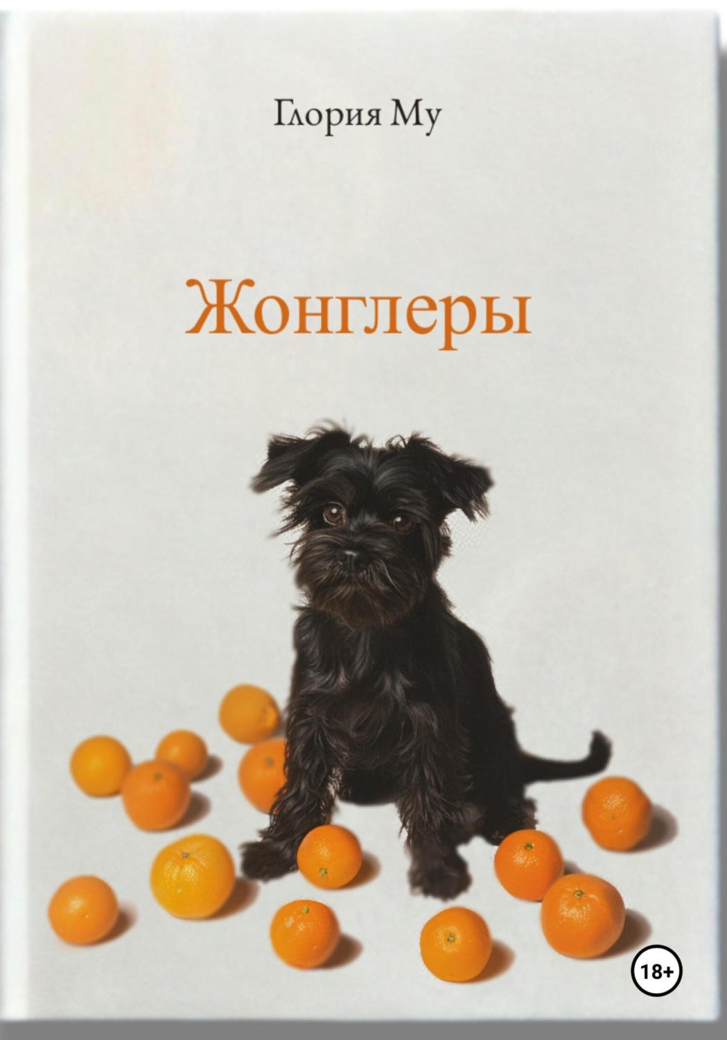 Обложка книги «Жонглёры»
