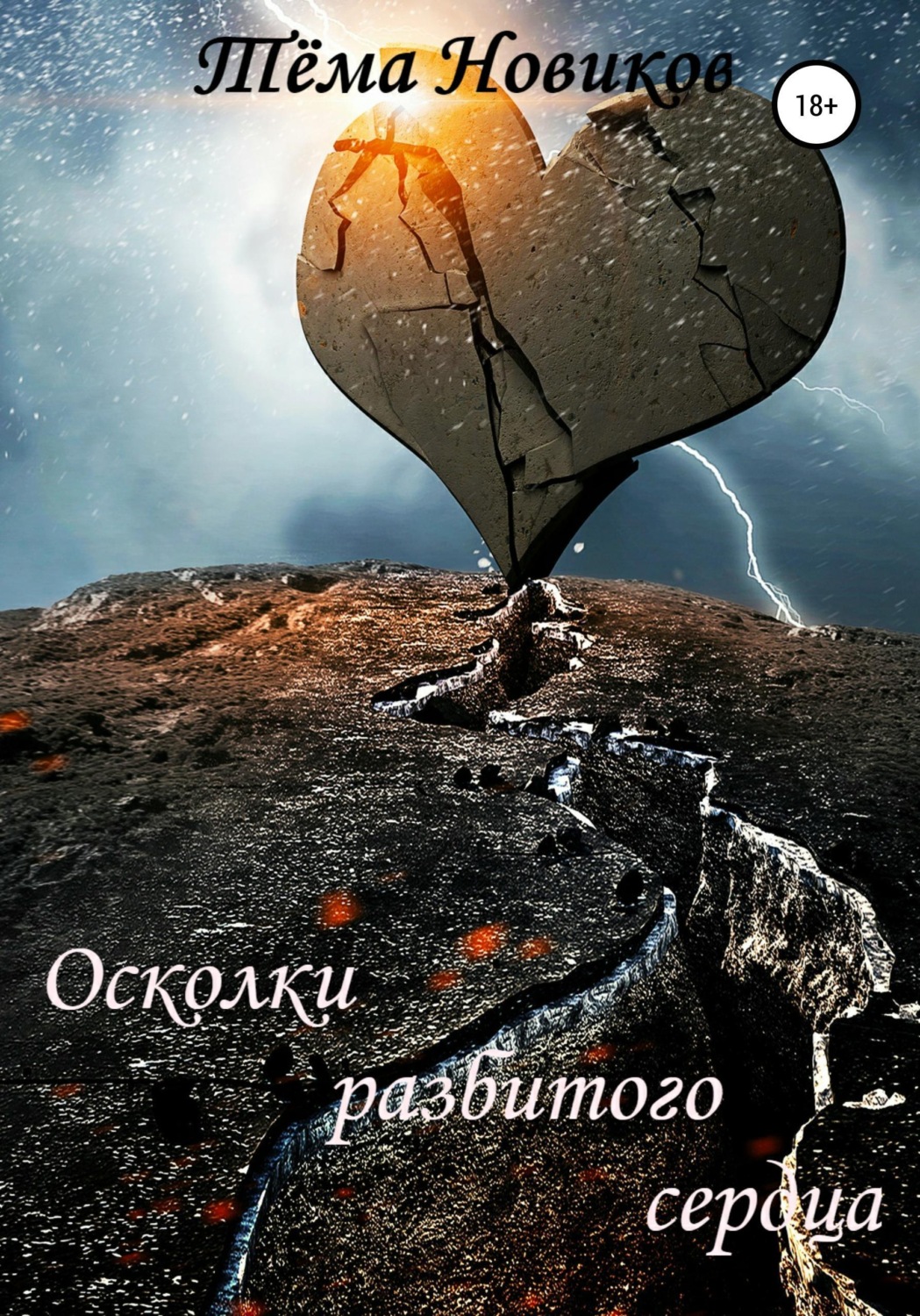 Обложка книги «Осколки разбитого сердца»