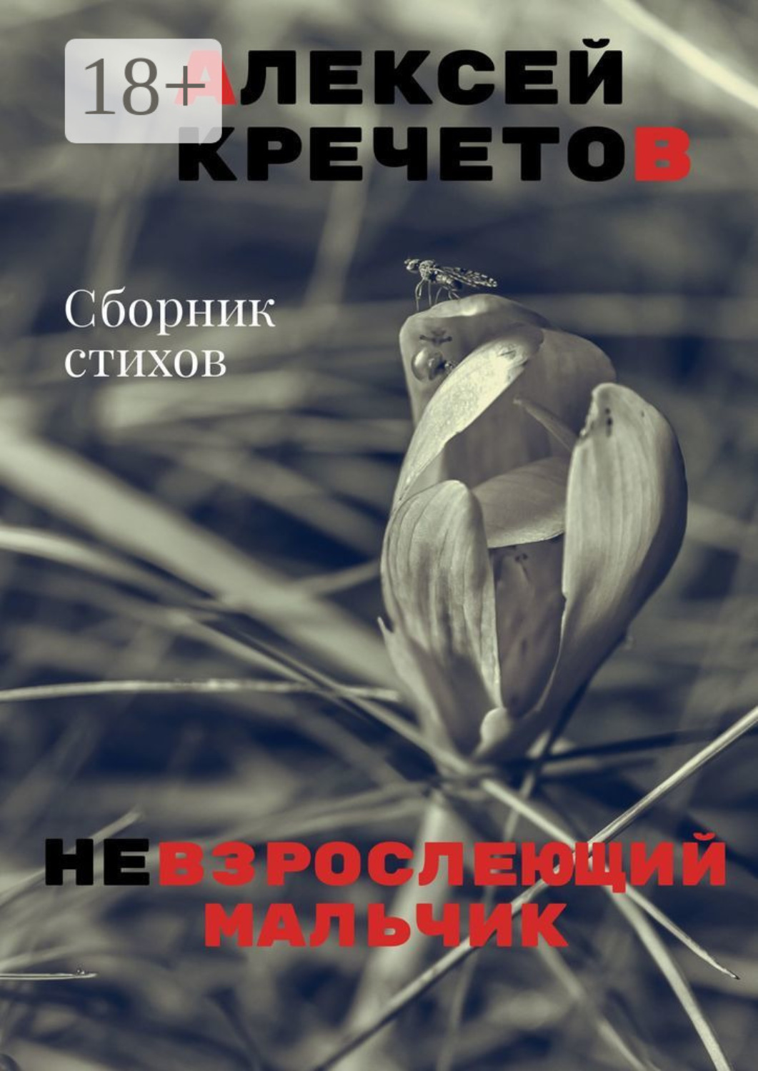 Обложка книги «Невзрослеющий мальчик»