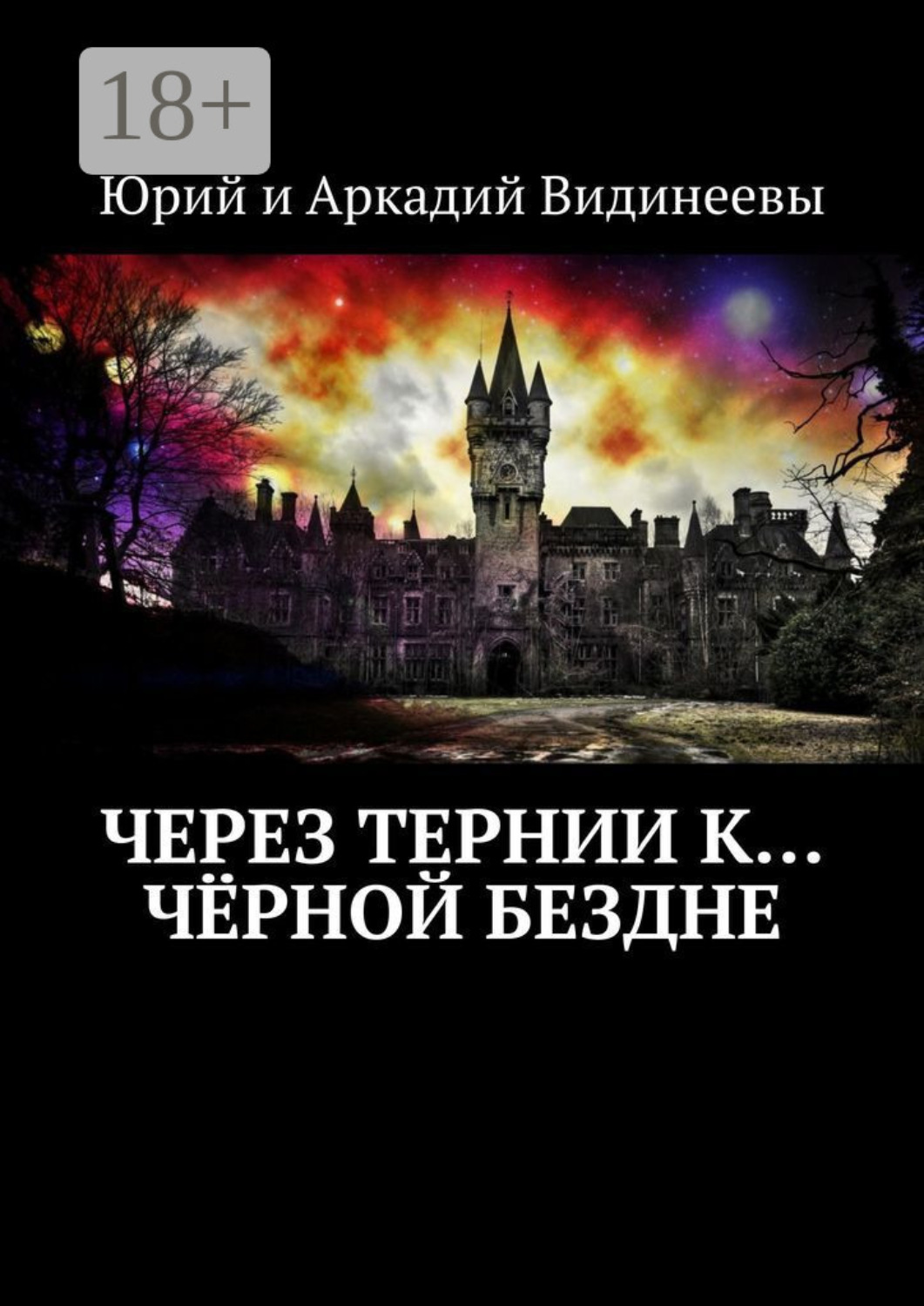 Обложка книги «Через тернии к… чёрной бездне»
