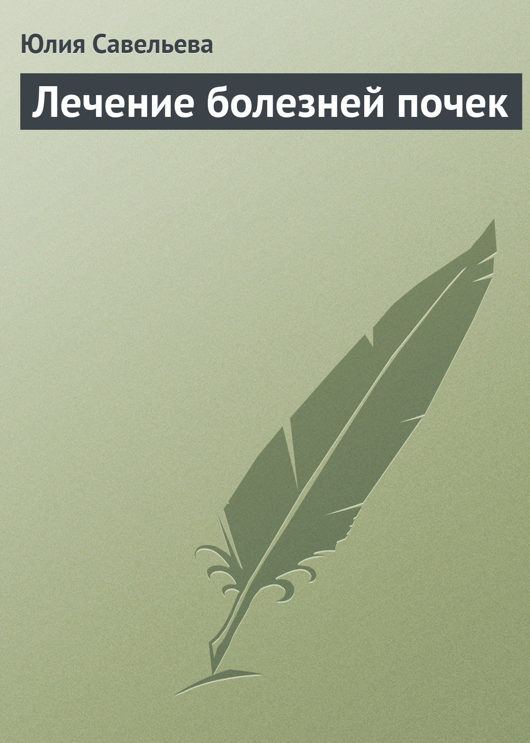 Обложка книги «Лечение болезней почек»