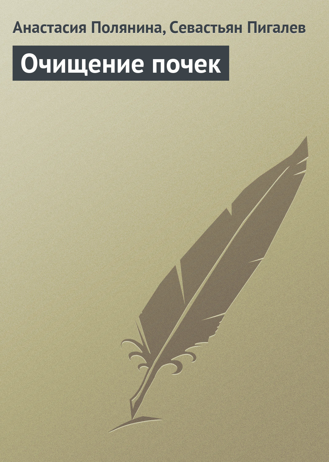 Обложка книги «Очищение почек»