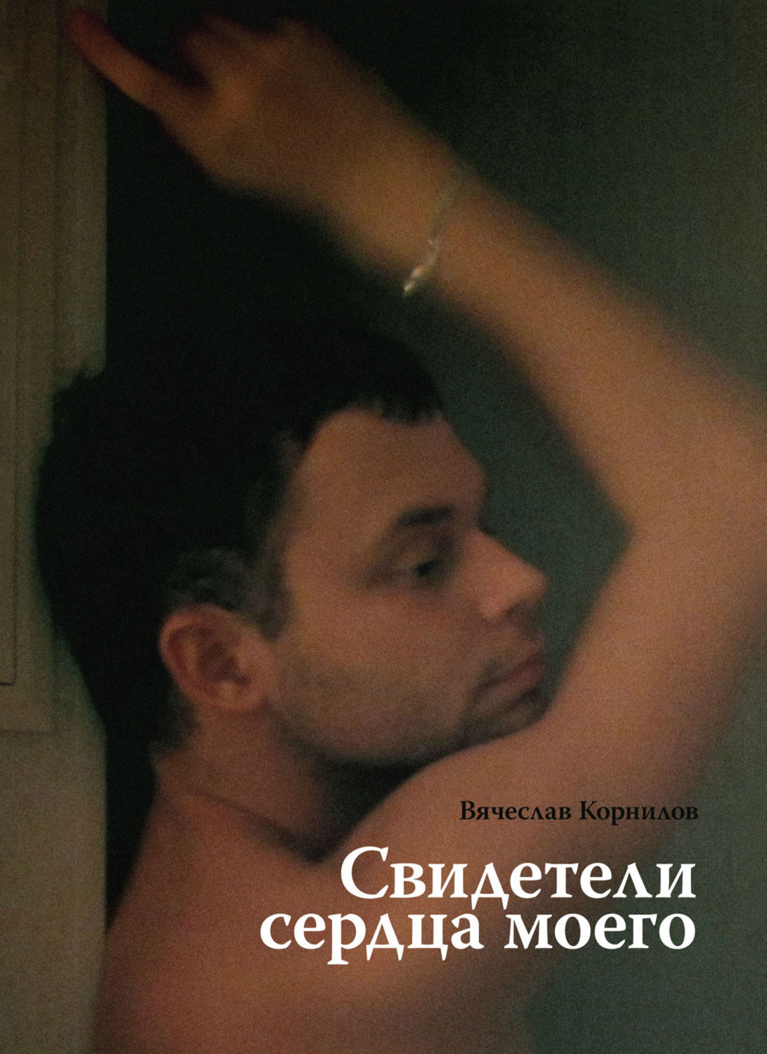 Обложка книги «Свидетели сердца моего»