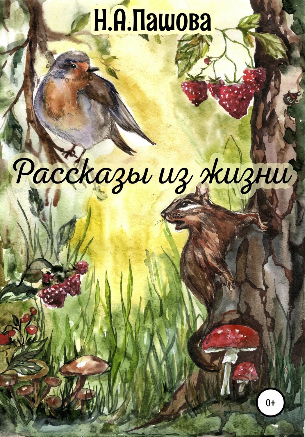 Обложка книги «Рассказы из жизни»