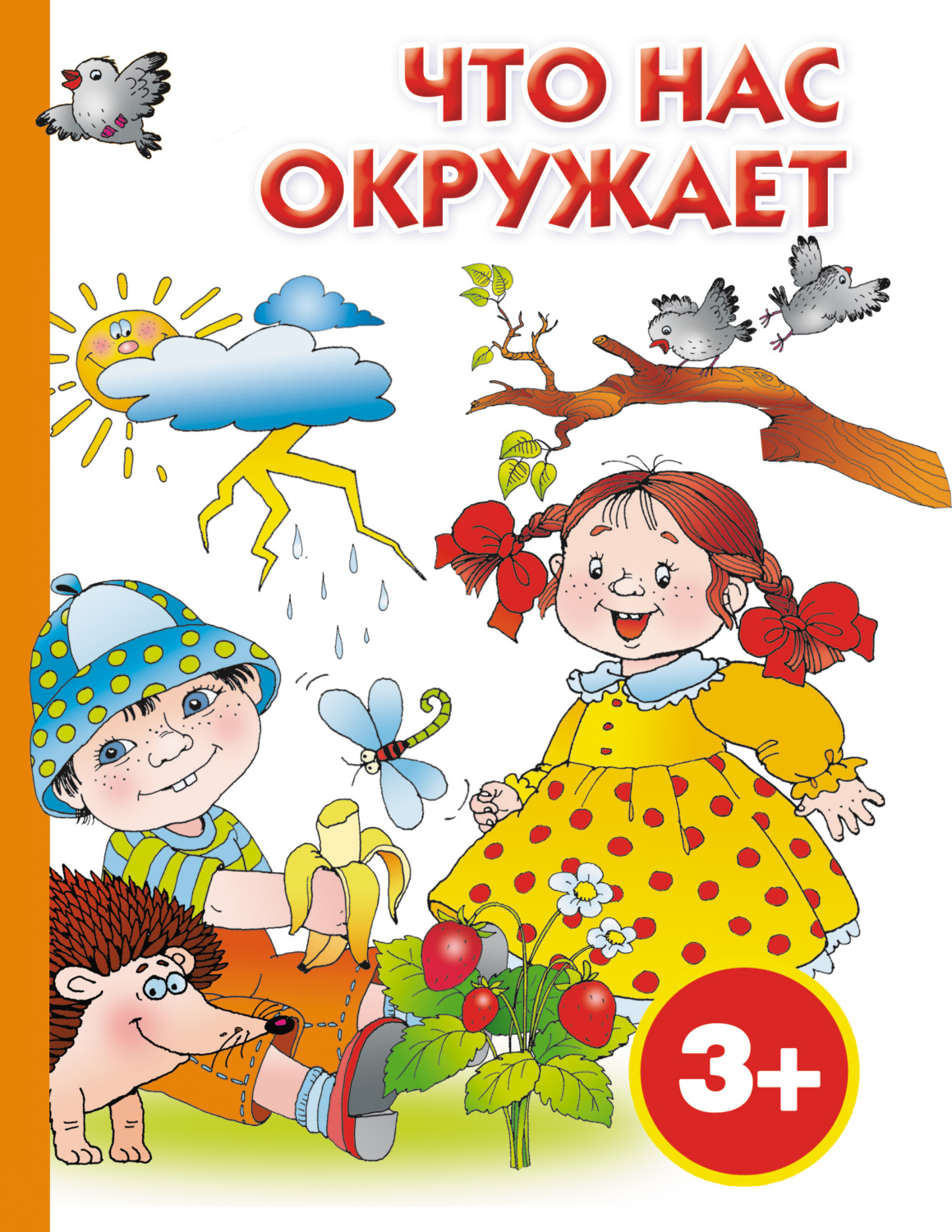 Обложка книги «Что нас окружает»