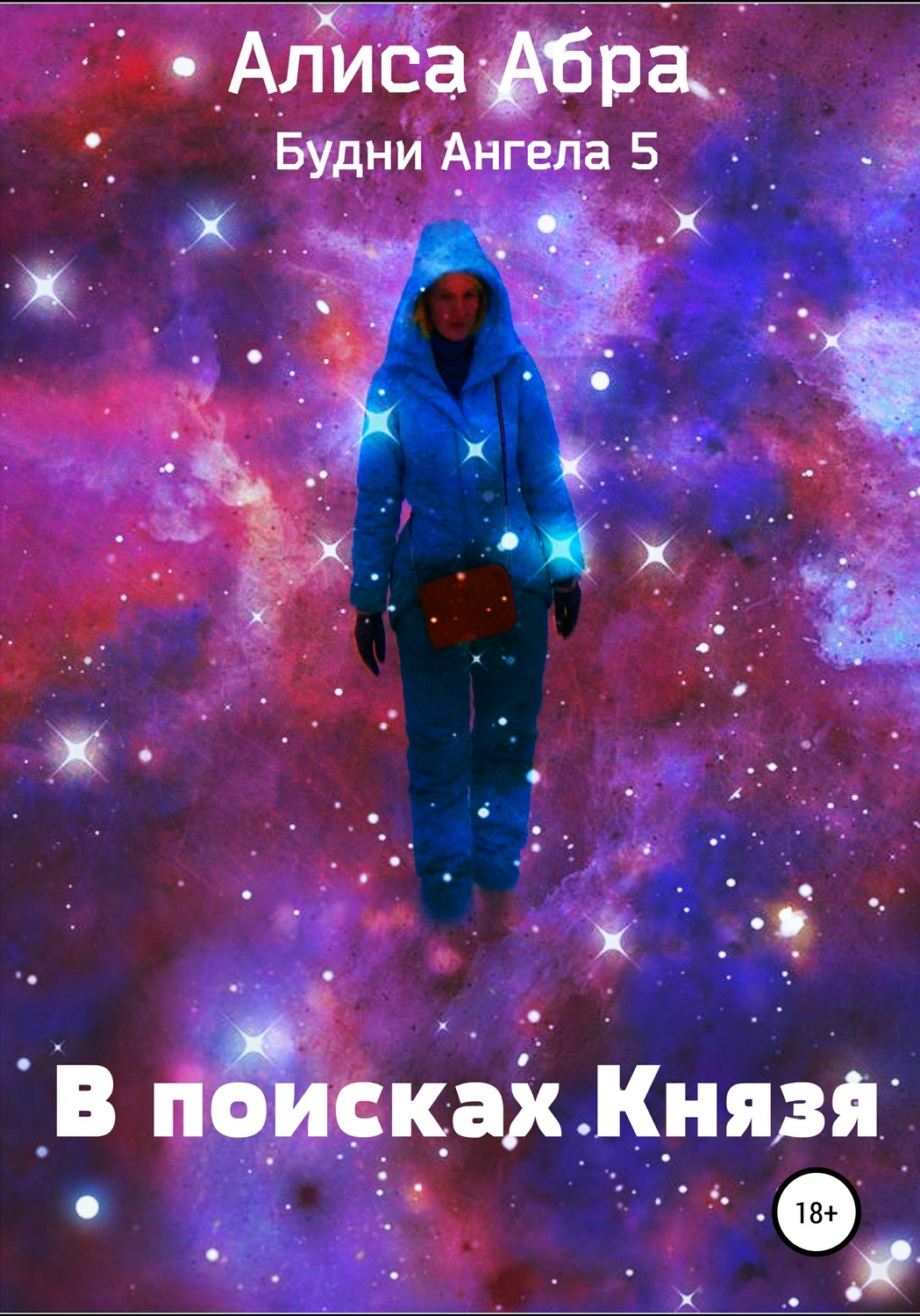 Обложка книги «В поисках Князя»