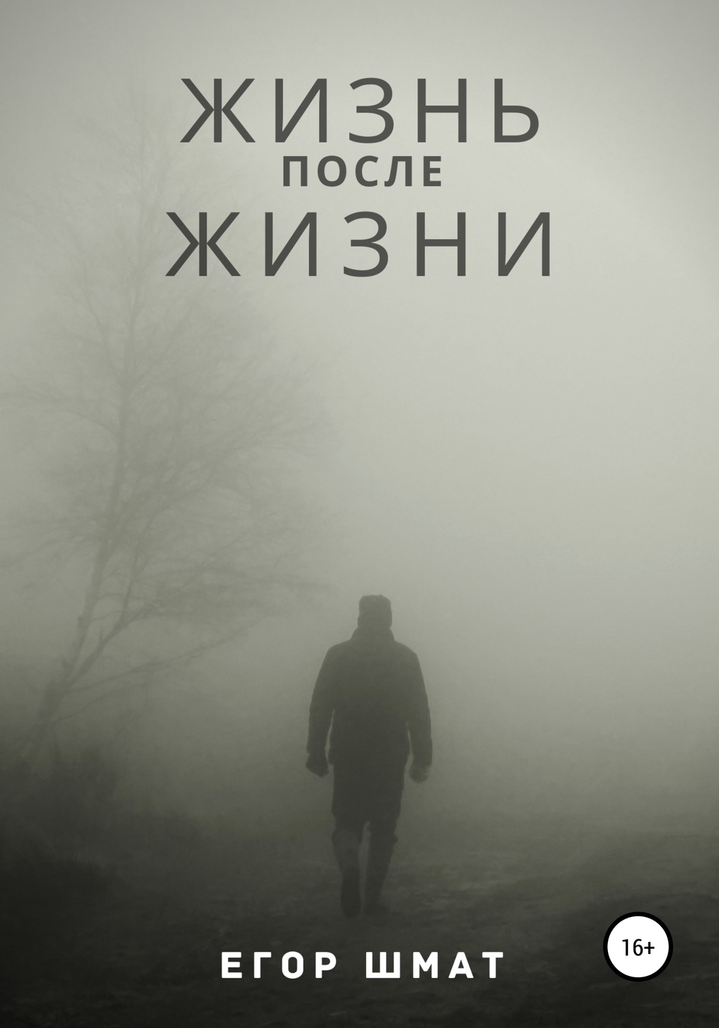 Обложка книги «Жизнь после Жизни»