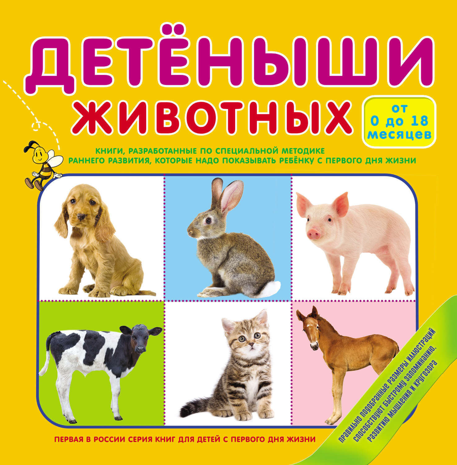 Обложка книги «Детеныши животных»