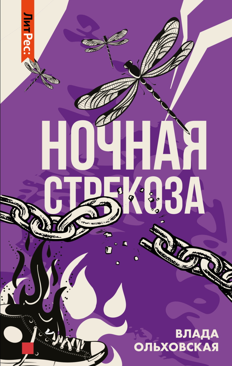Обложка книги «Ночная стрекоза»