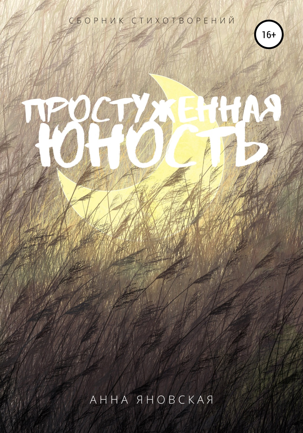 Обложка книги «Простуженная юность»