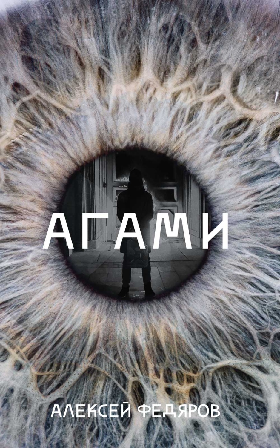 Обложка книги «Агами»