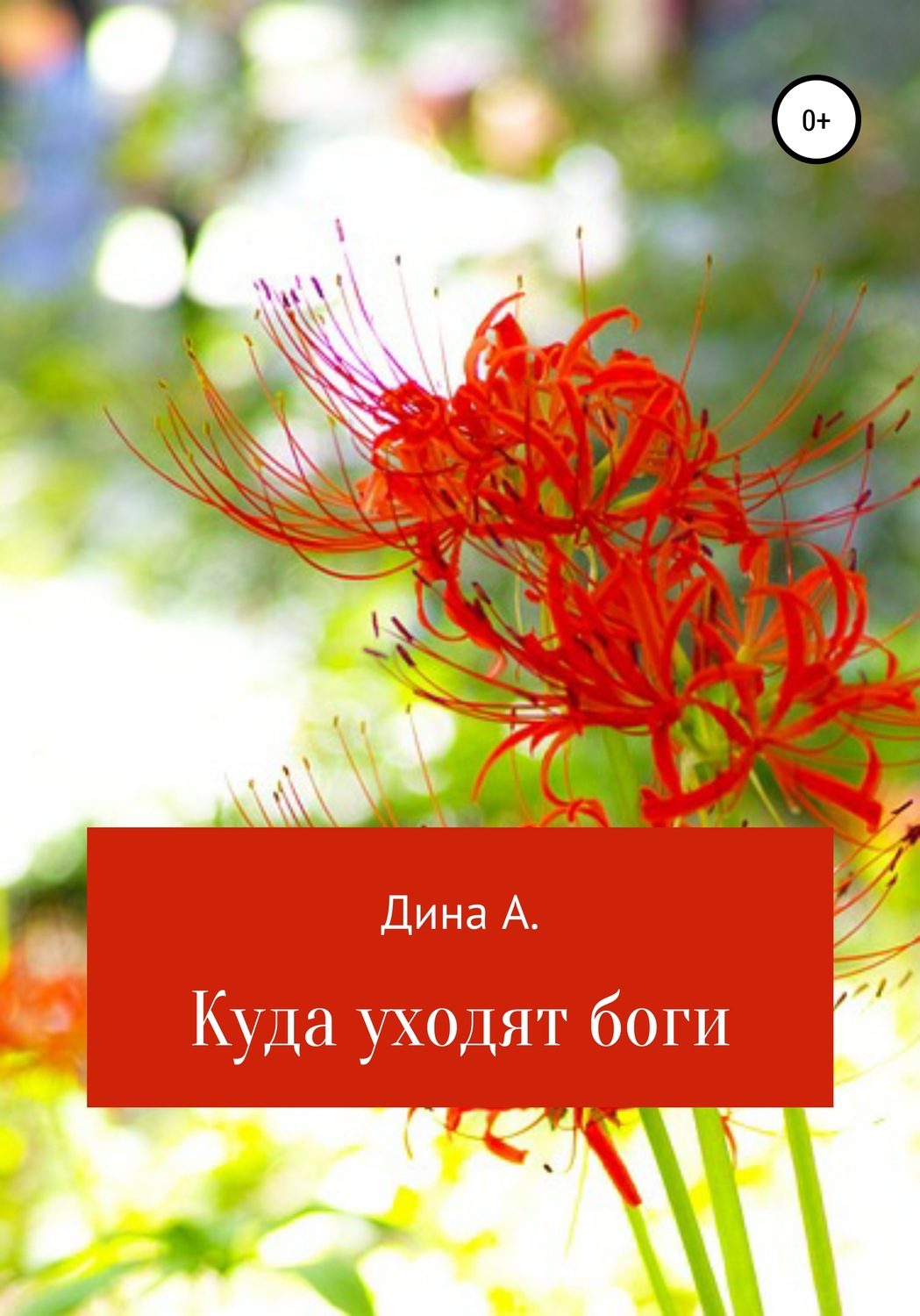 Обложка книги «Куда уходят боги»