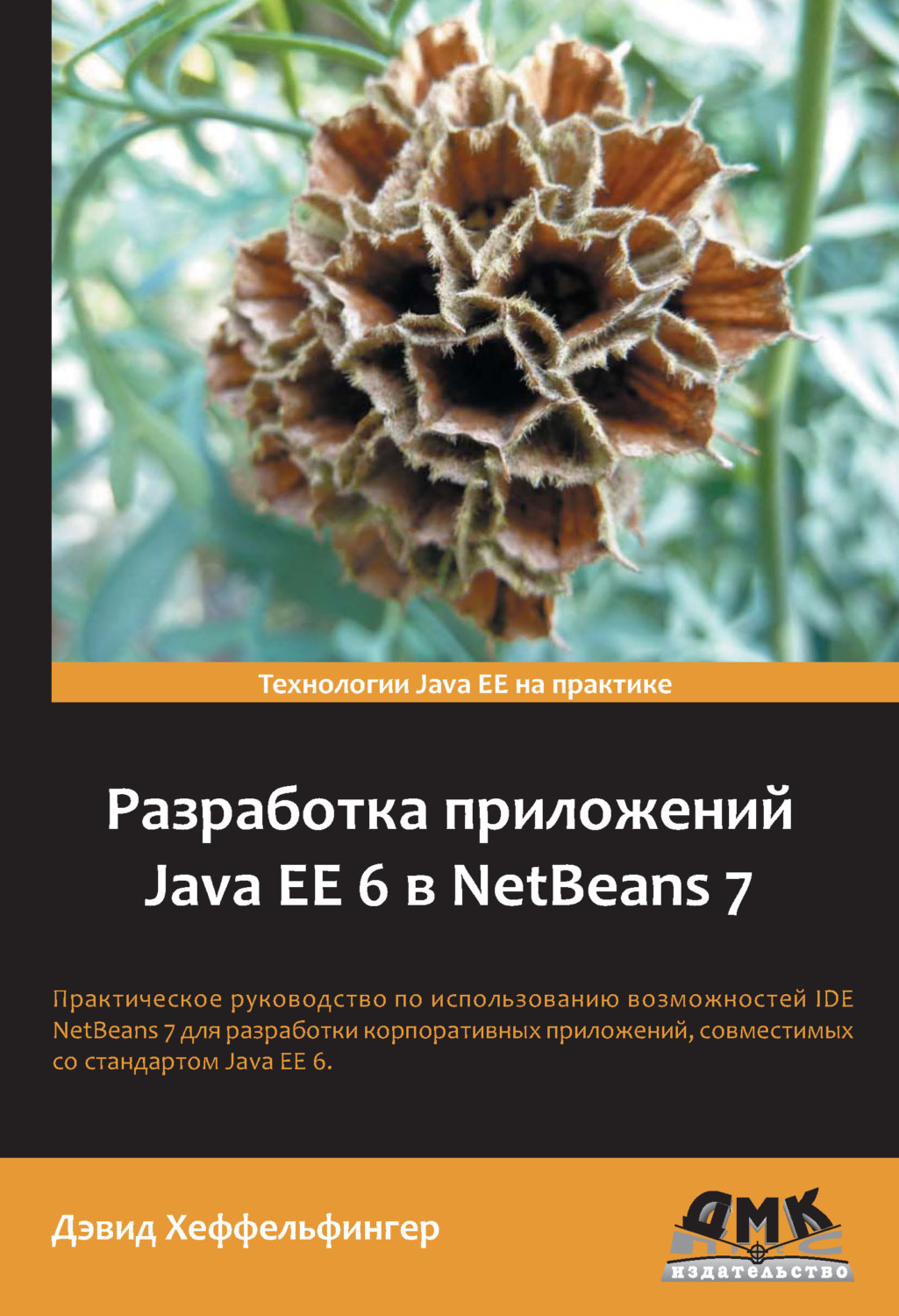 Обложка книги «Разработка приложений Java EE 6 в NetBeans 7»